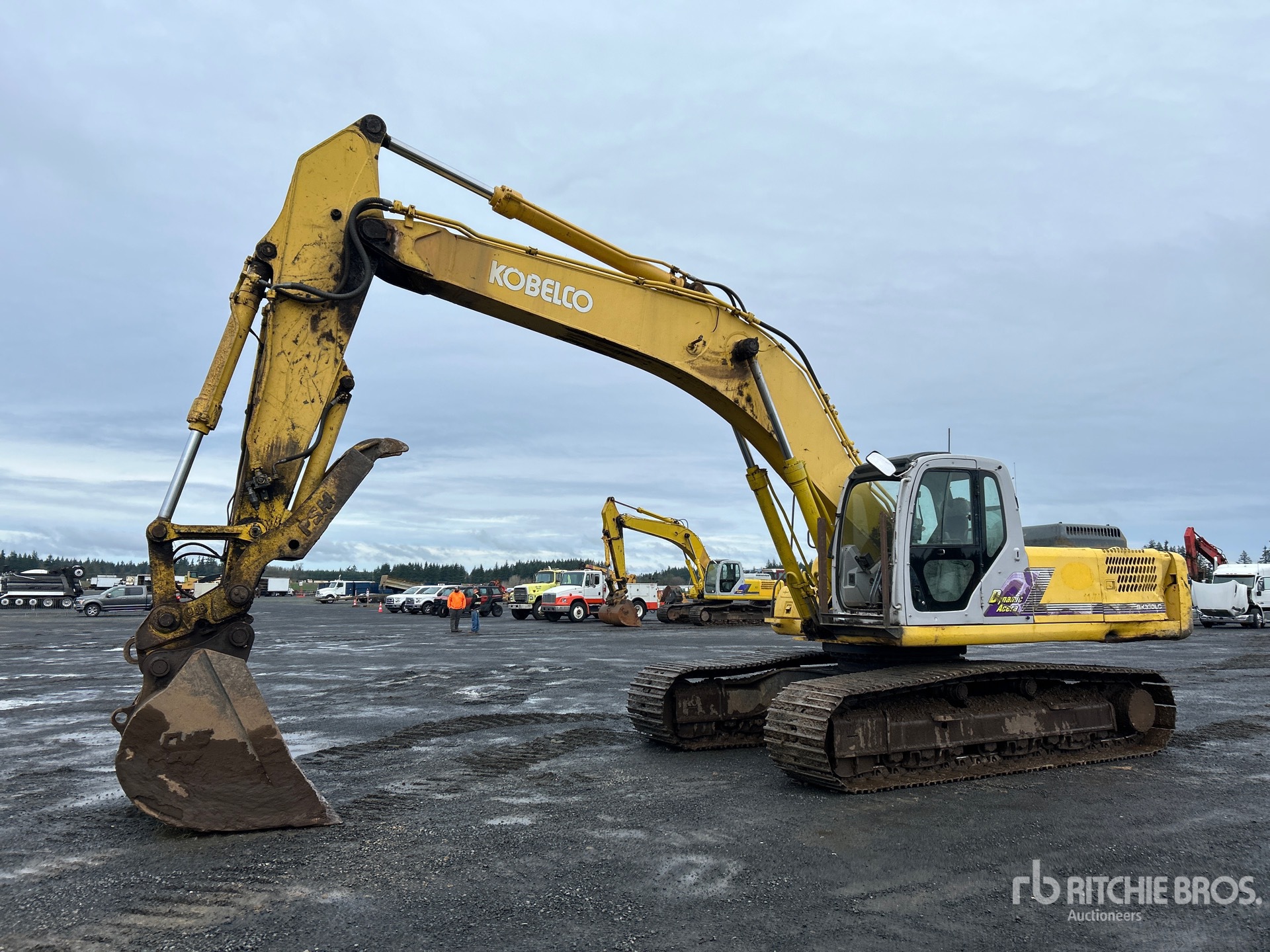 General Appearance with Spin