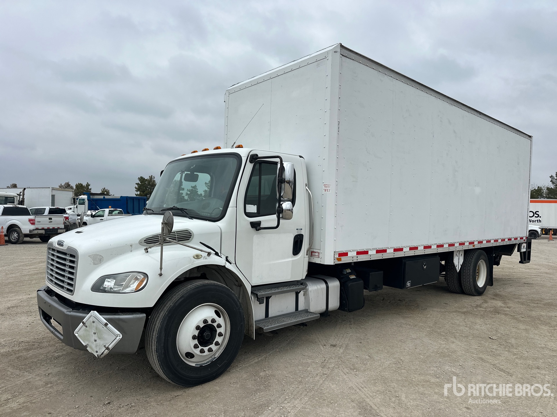 General Appearance with Spin