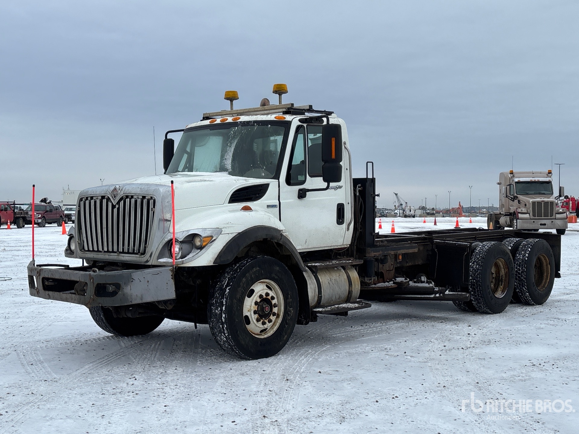 General Appearance with Spin