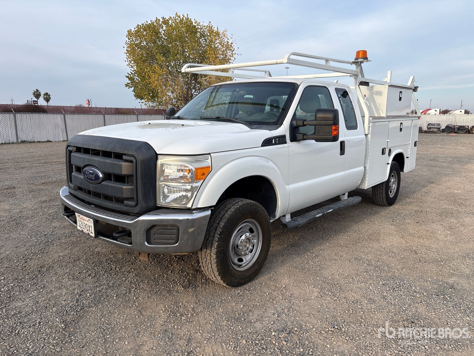 General Appearance with Spin