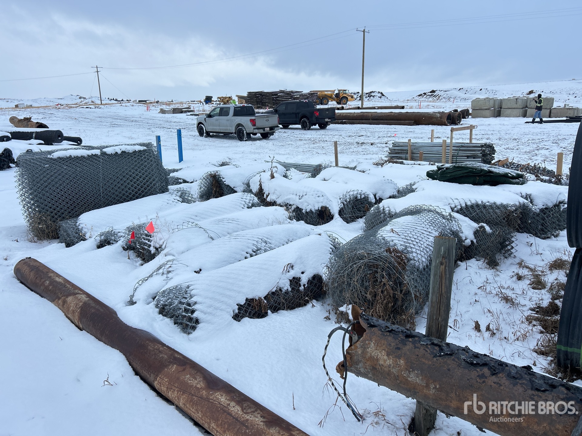 General Appearance with Zdjęcie, prawy dolny róg