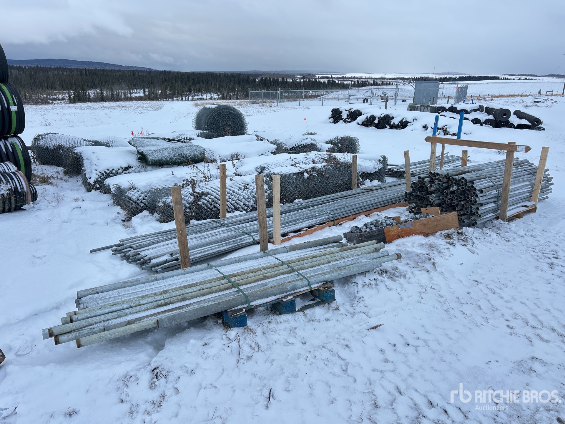 General Appearance with Zdjęcie, prawy górny róg