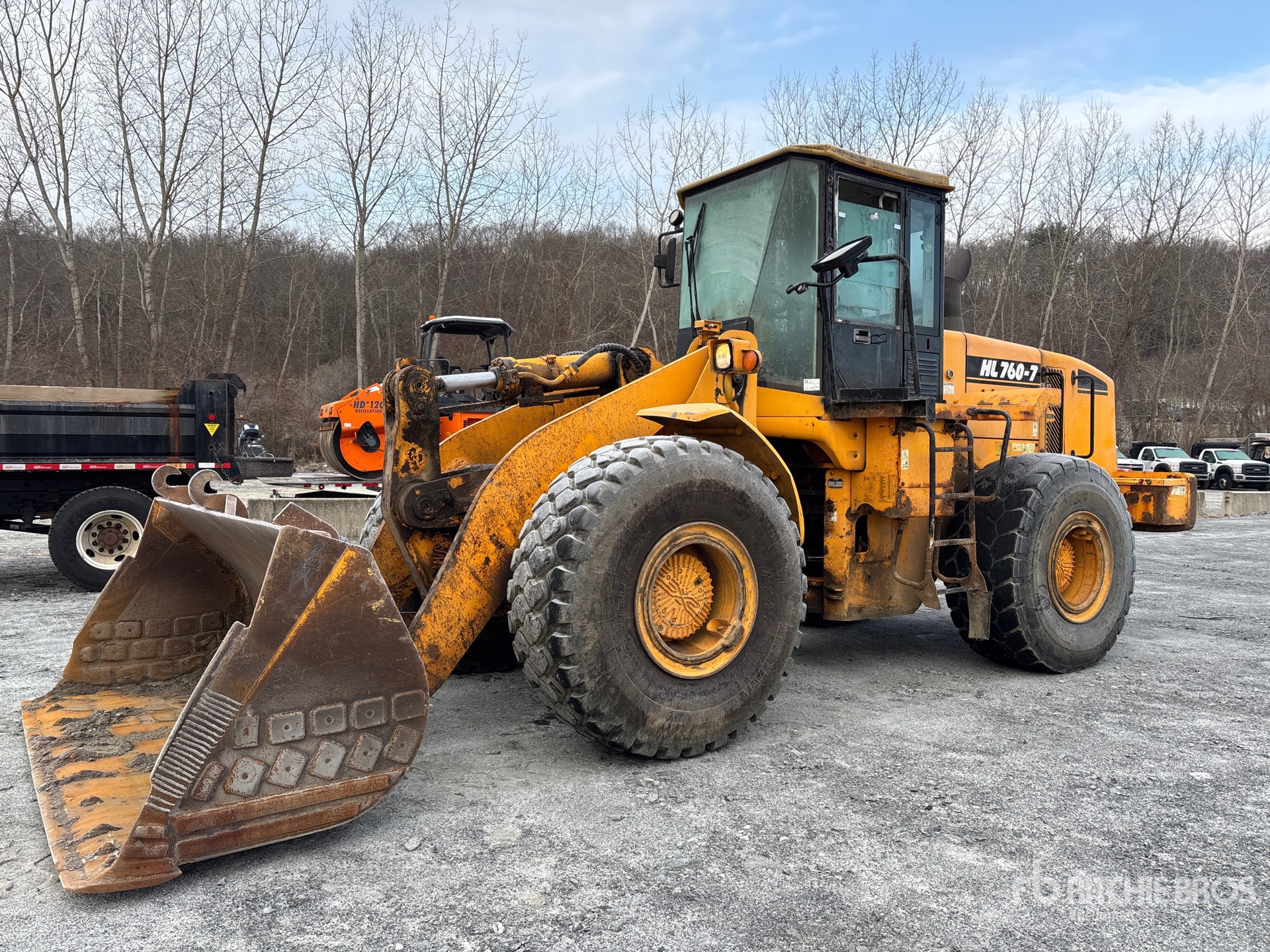 General Appearance with Spin