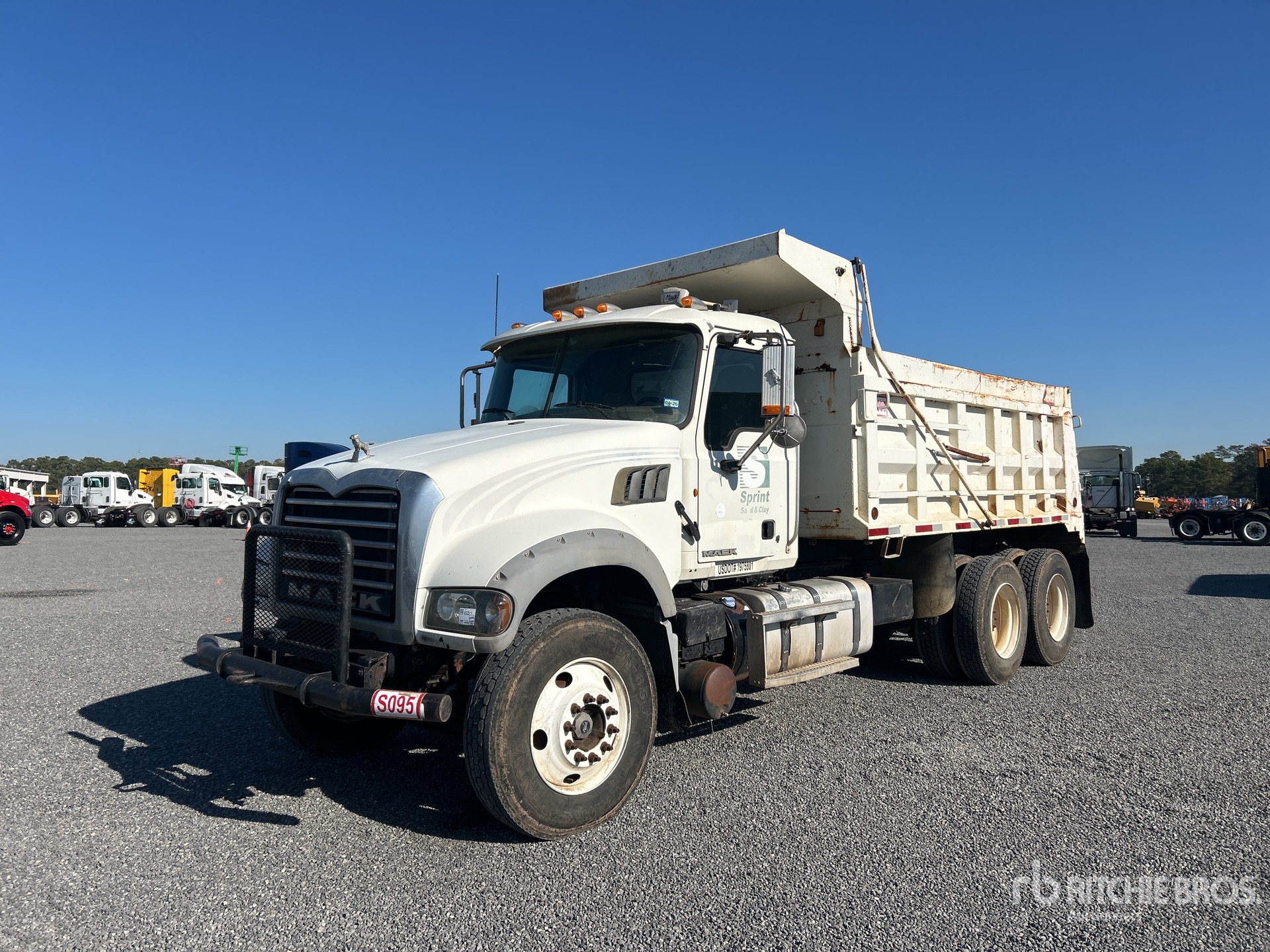 General Appearance with Spin