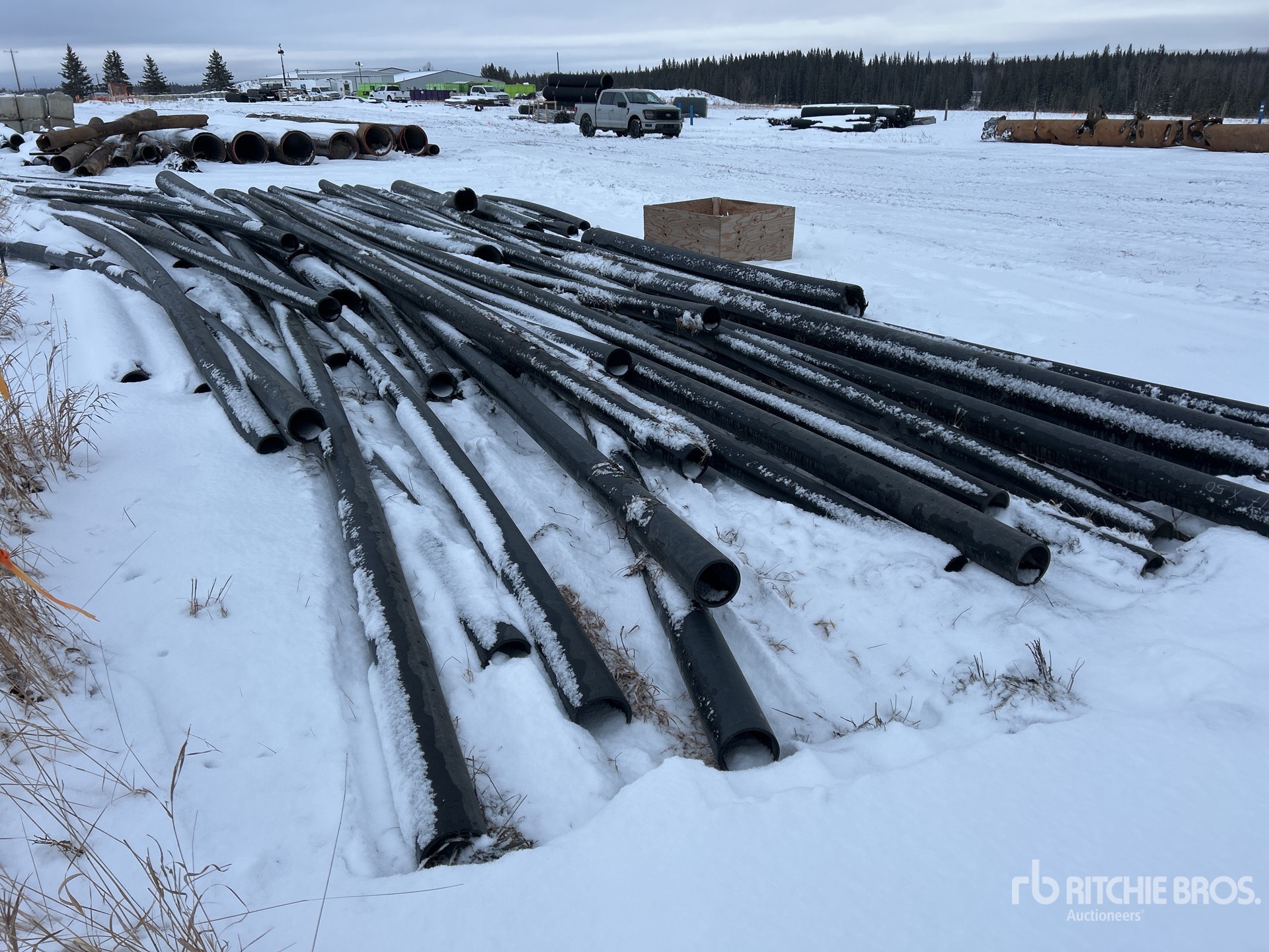 General Appearance with Zdjęcie, prawy dolny róg