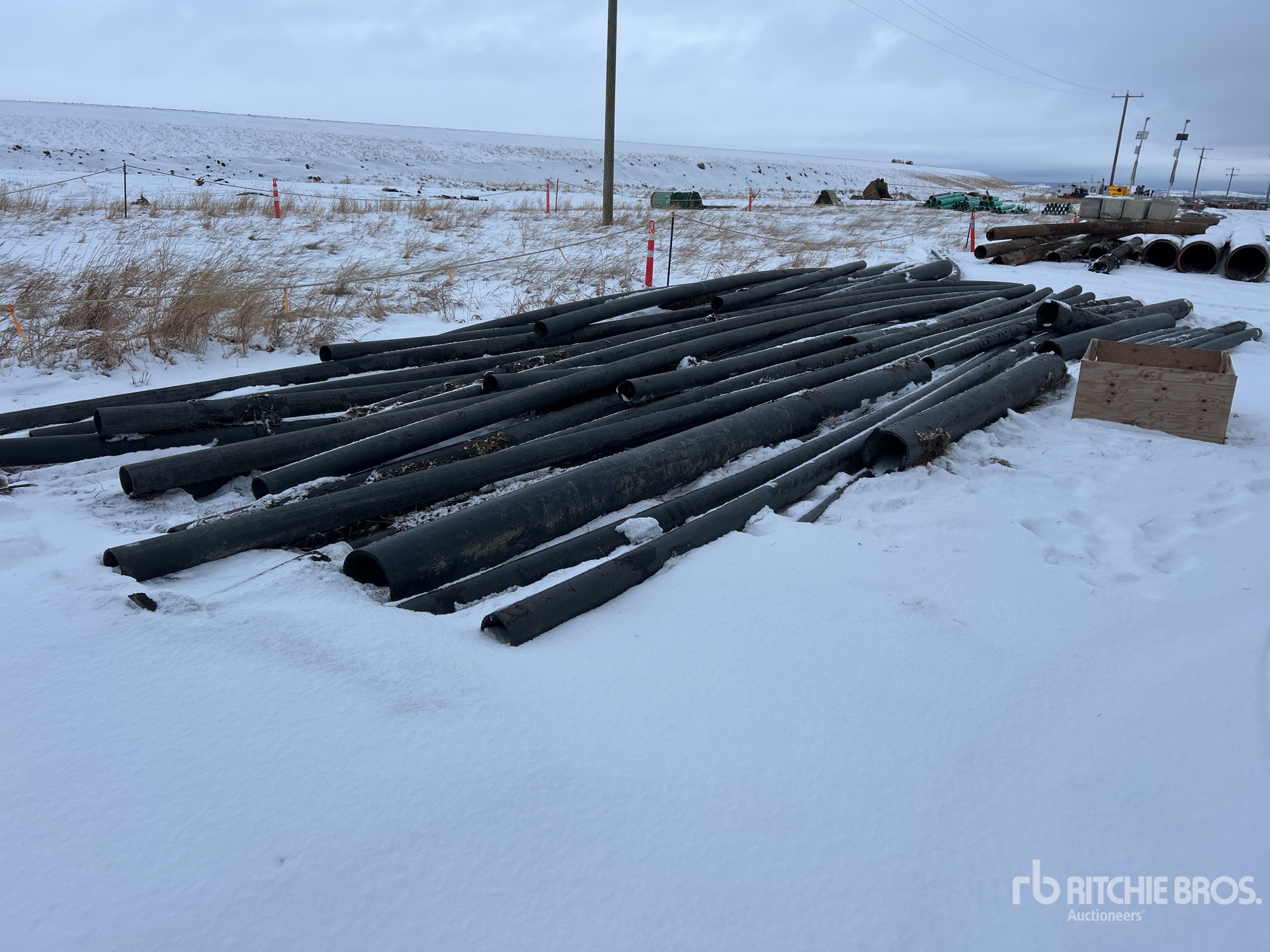 General Appearance with Zdjęcie, prawy górny róg