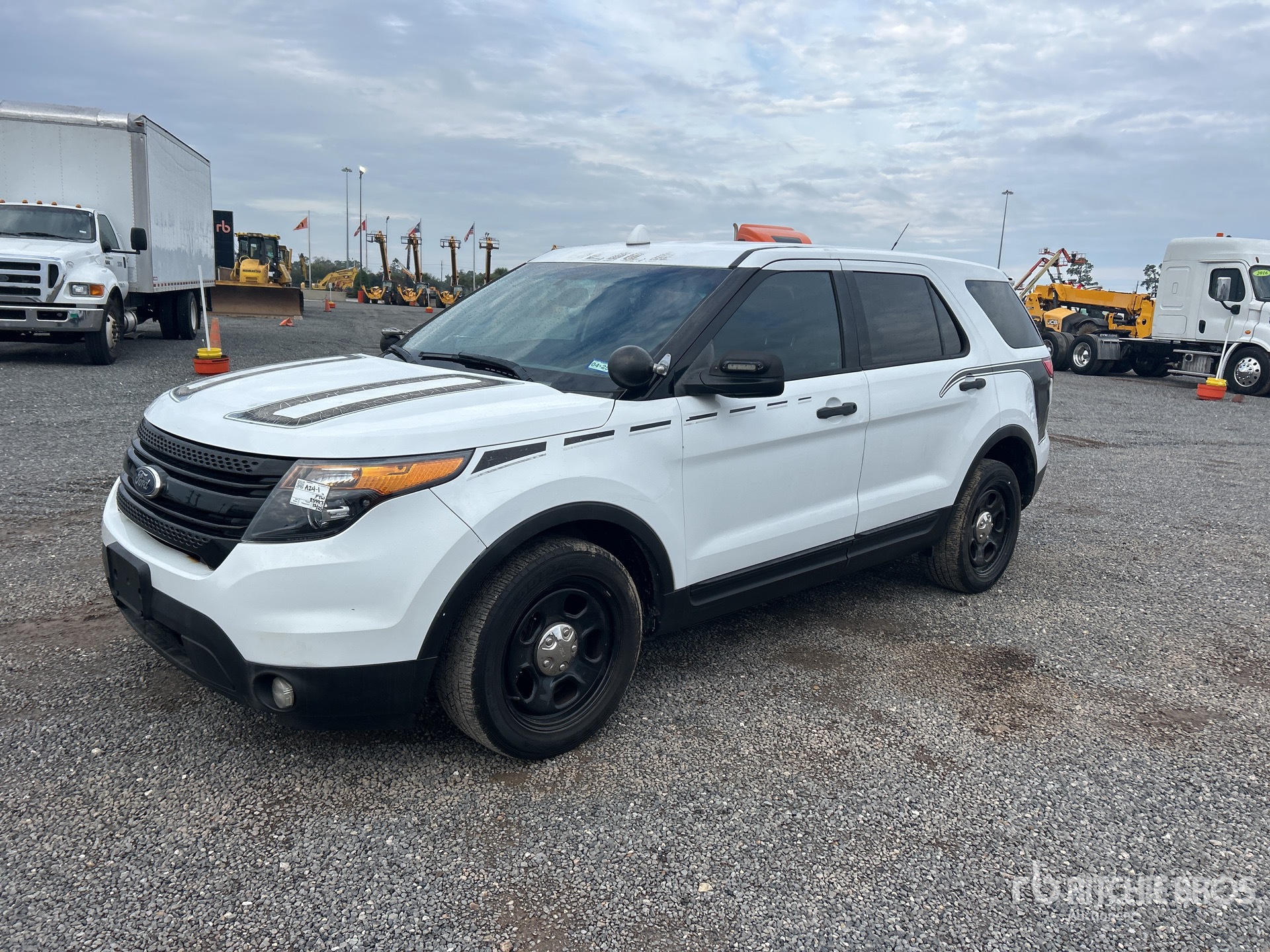 General Appearance with Spin