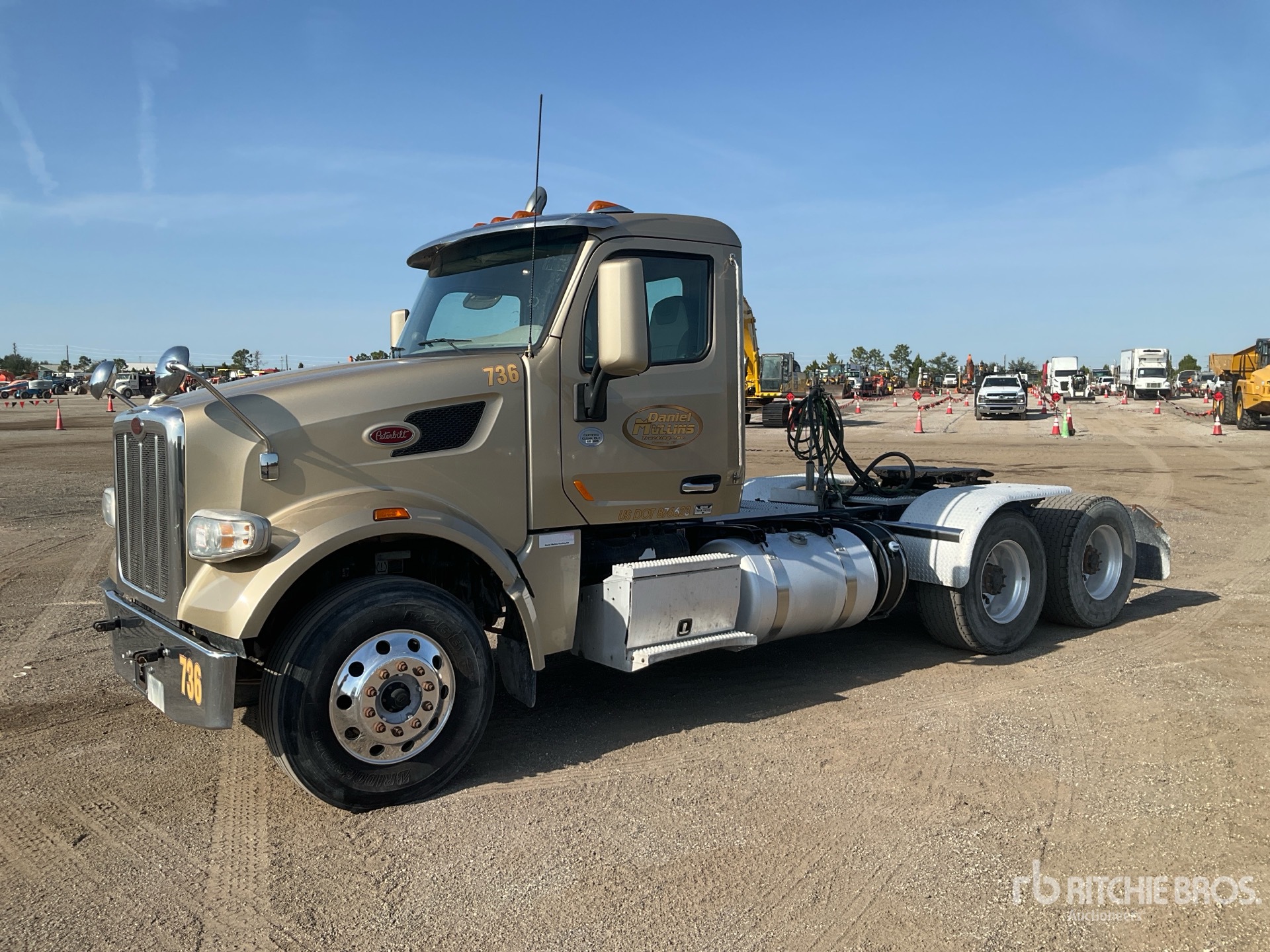 General Appearance with Foto, angolo anteriore sinistro