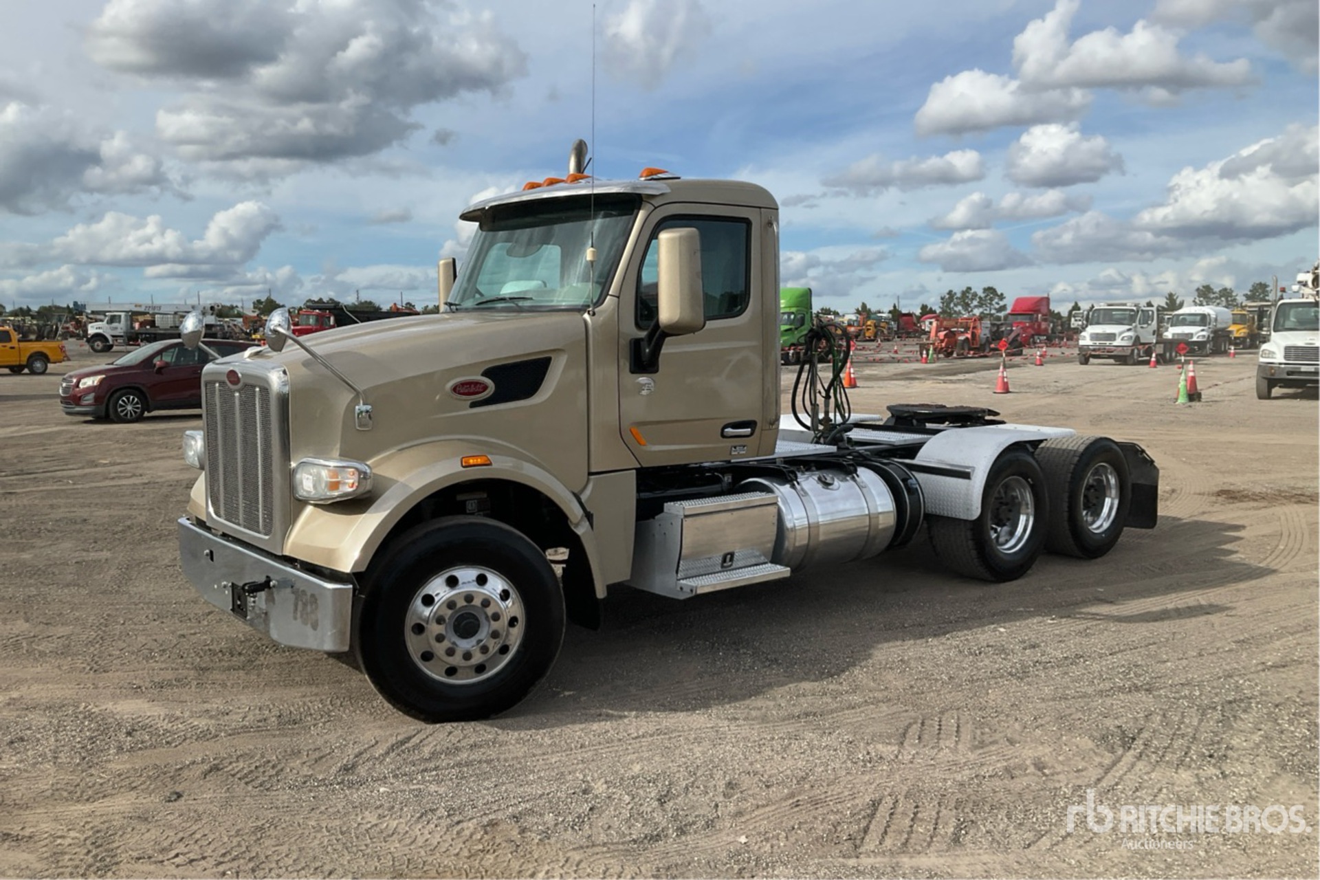 General Appearance with Spin