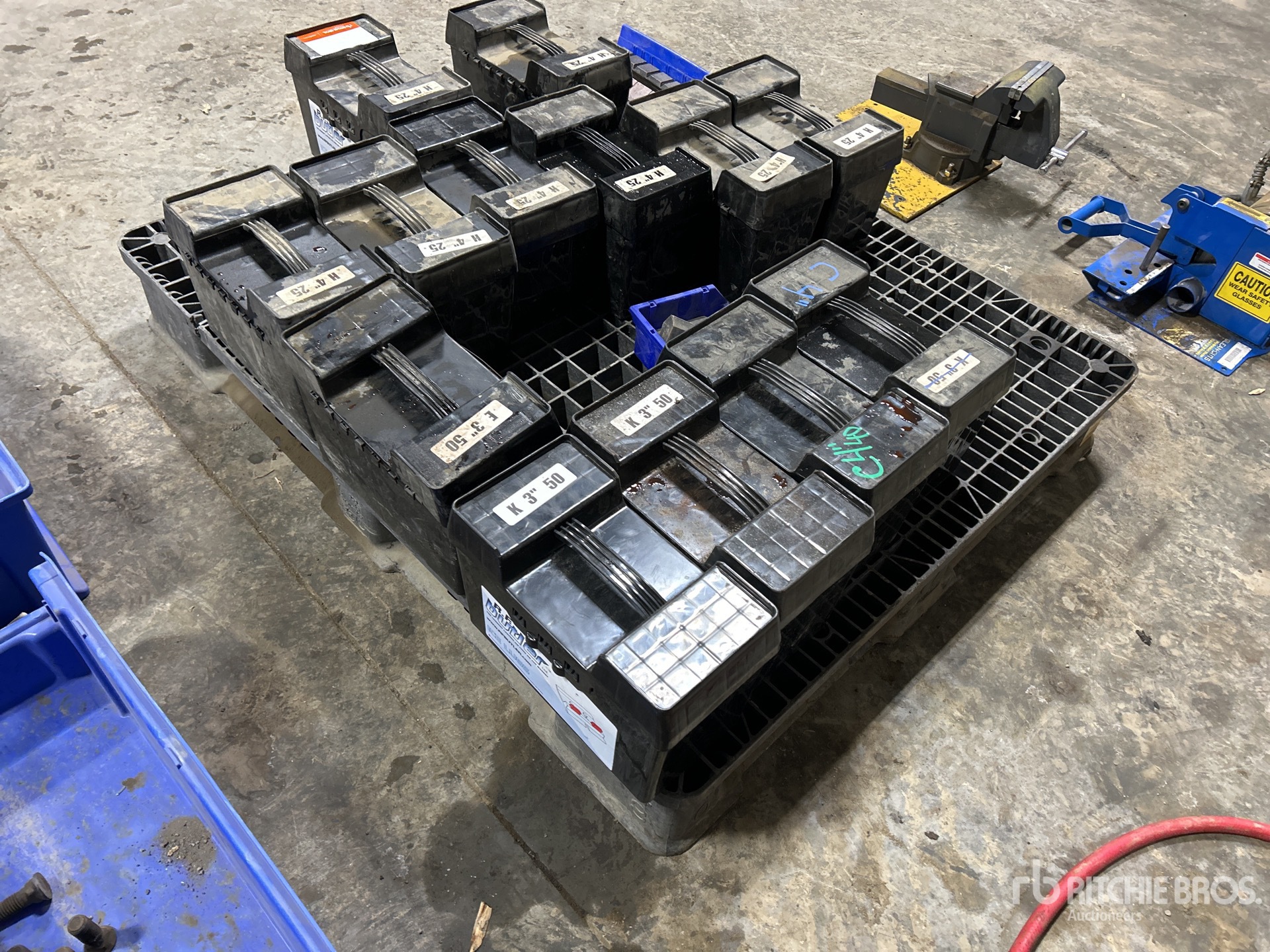 General Appearance with Zdjęcie, lewy dolny róg