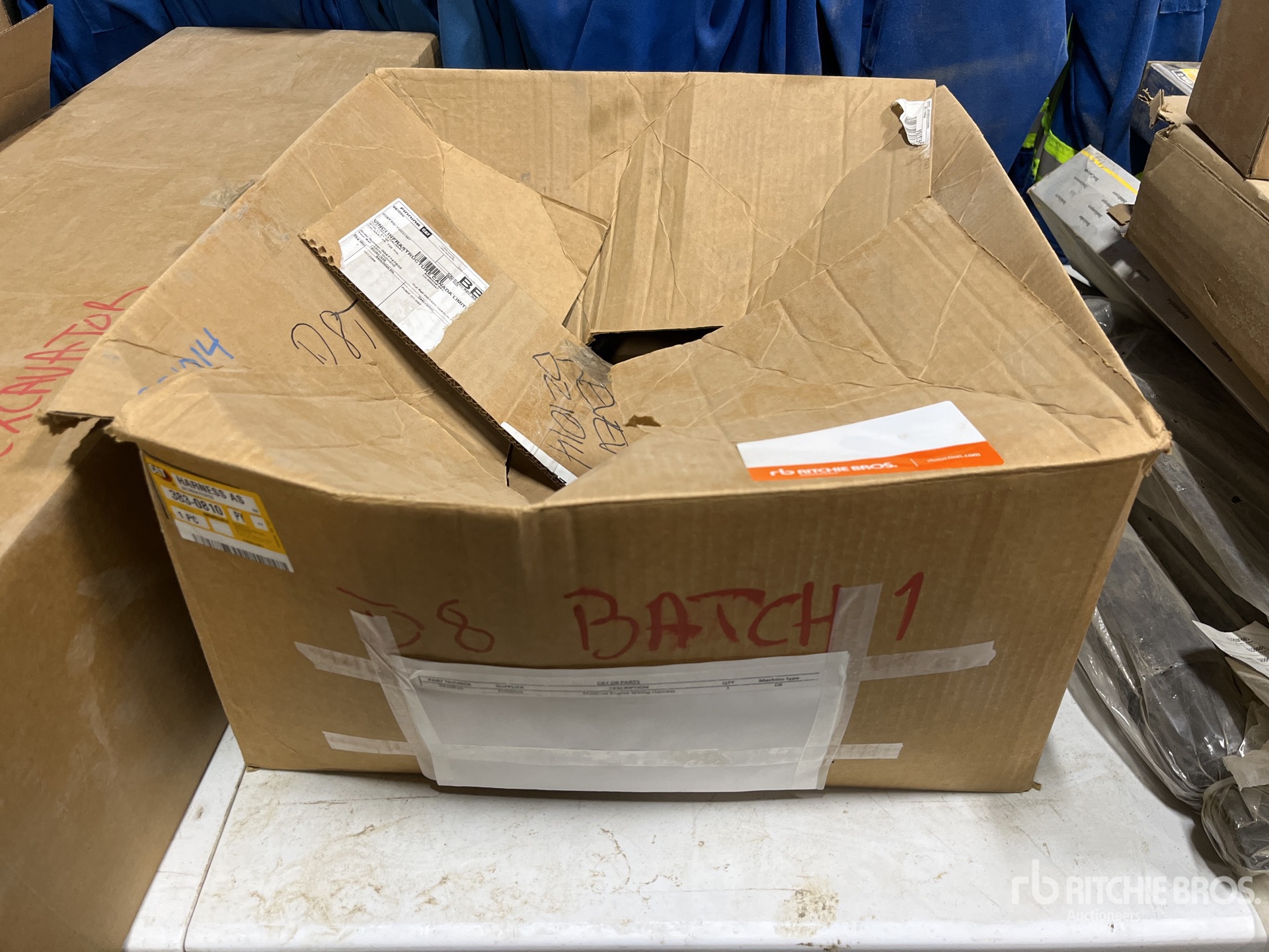 General Appearance with 