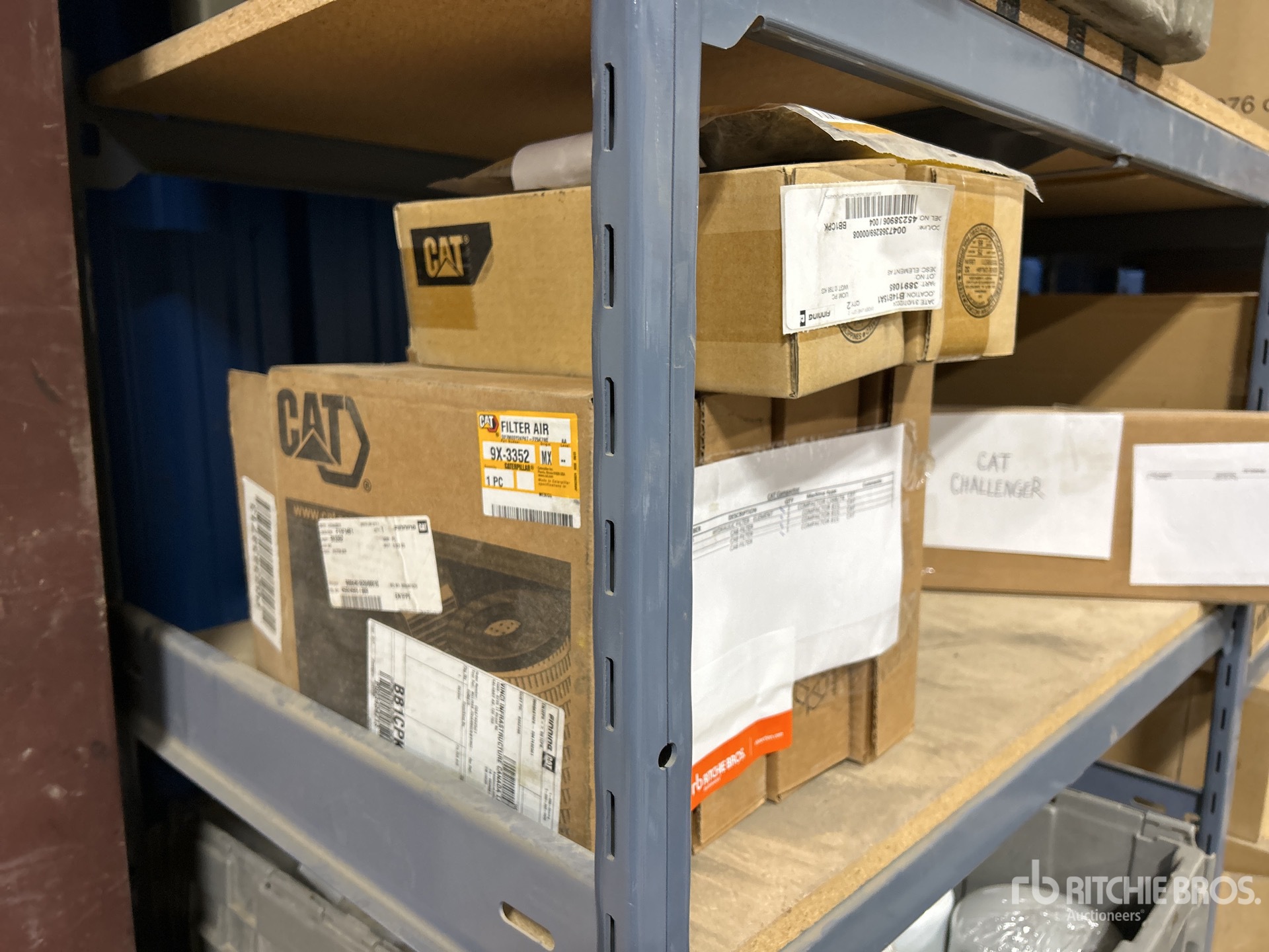 General Appearance with Zdjęcie, lewy dolny róg