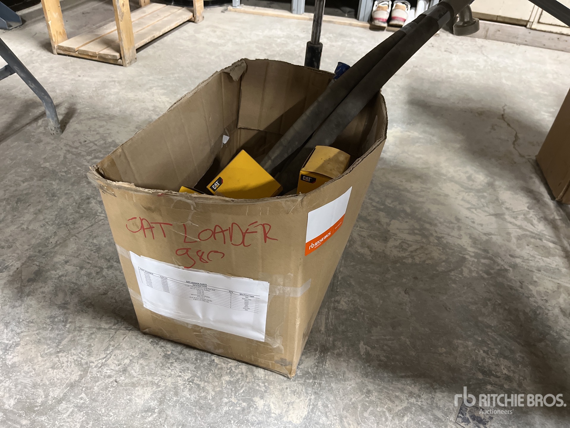 General Appearance with 