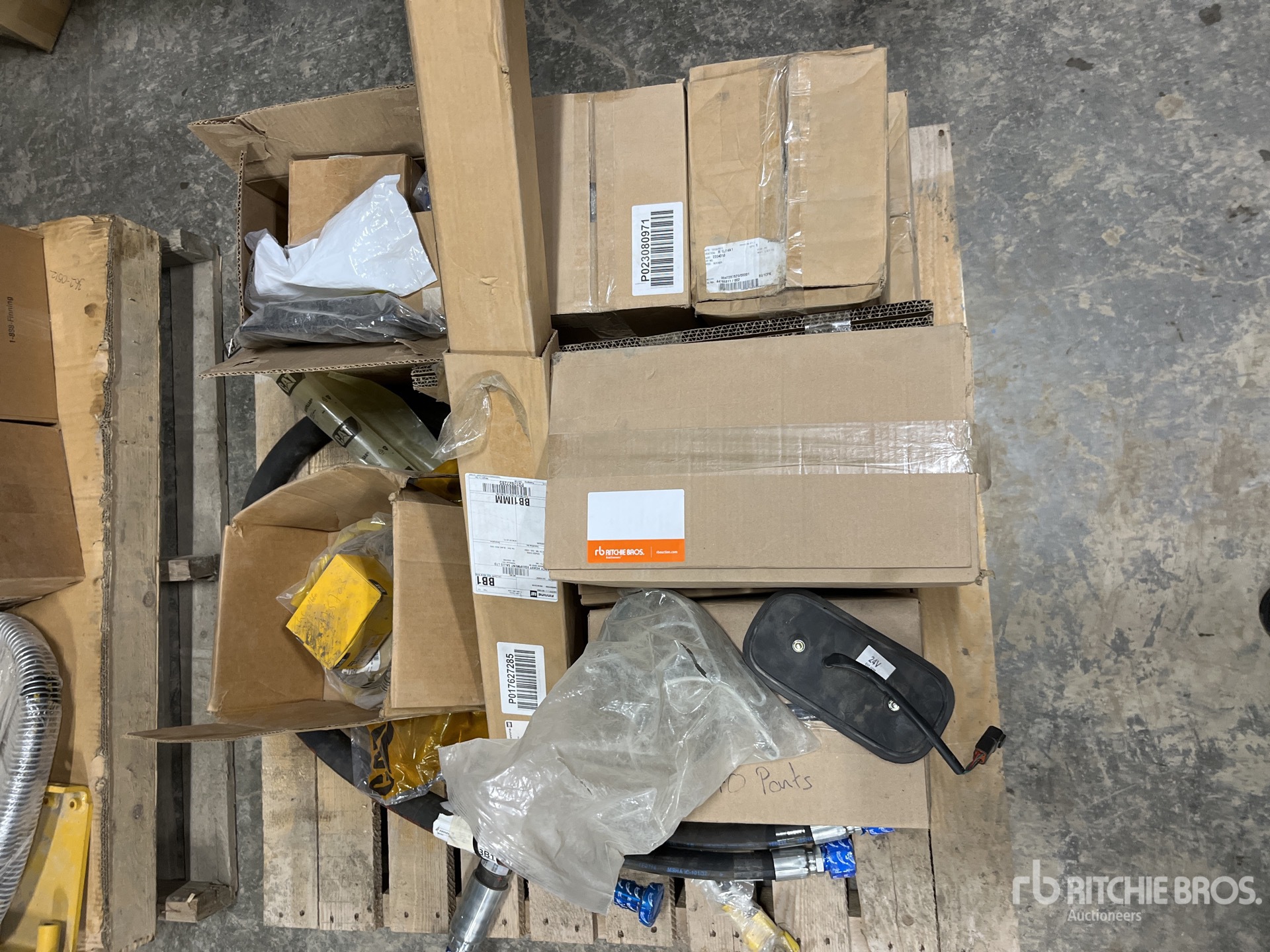 General Appearance with 