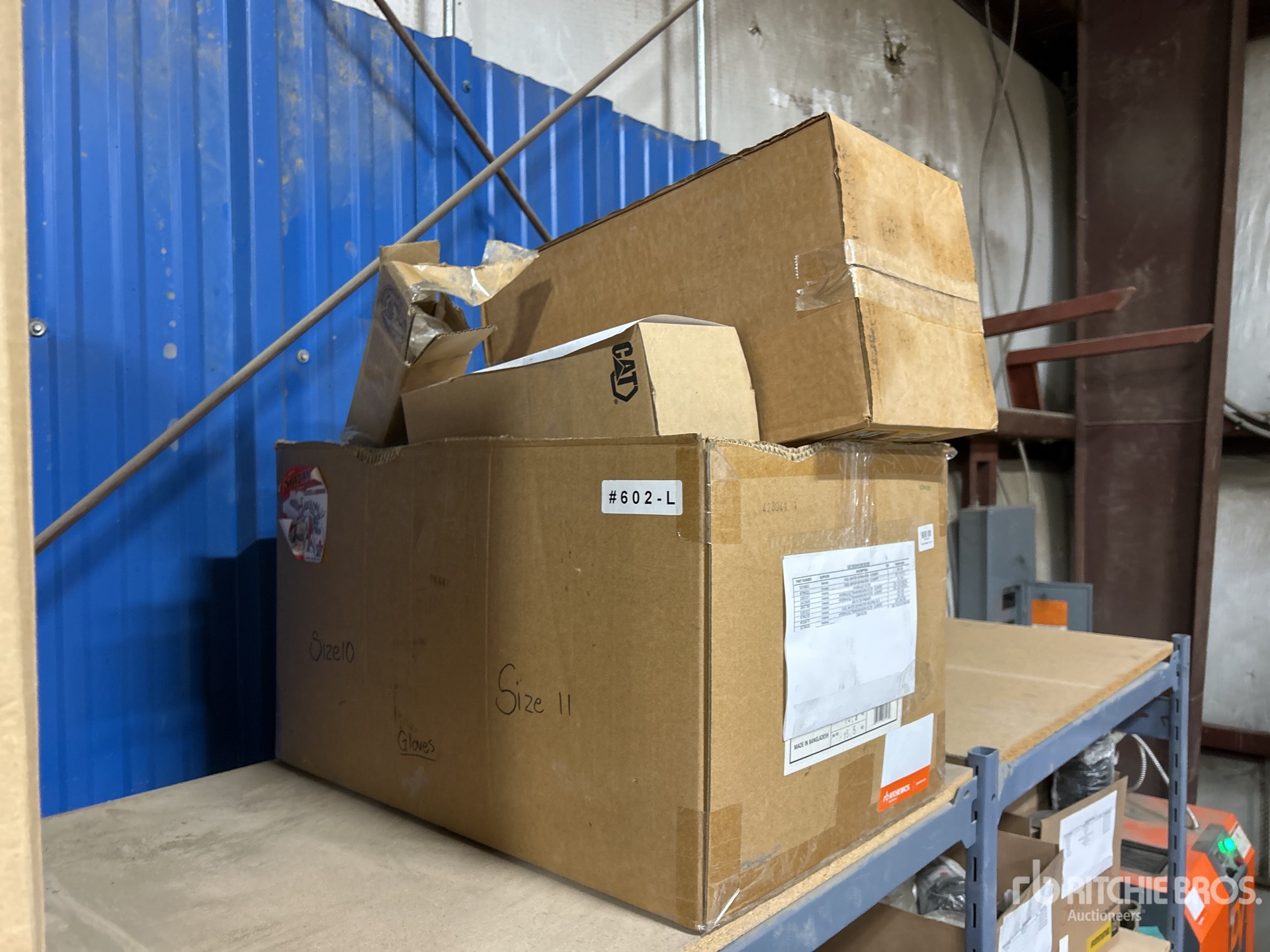 General Appearance with Zdjęcie, lewy dolny róg