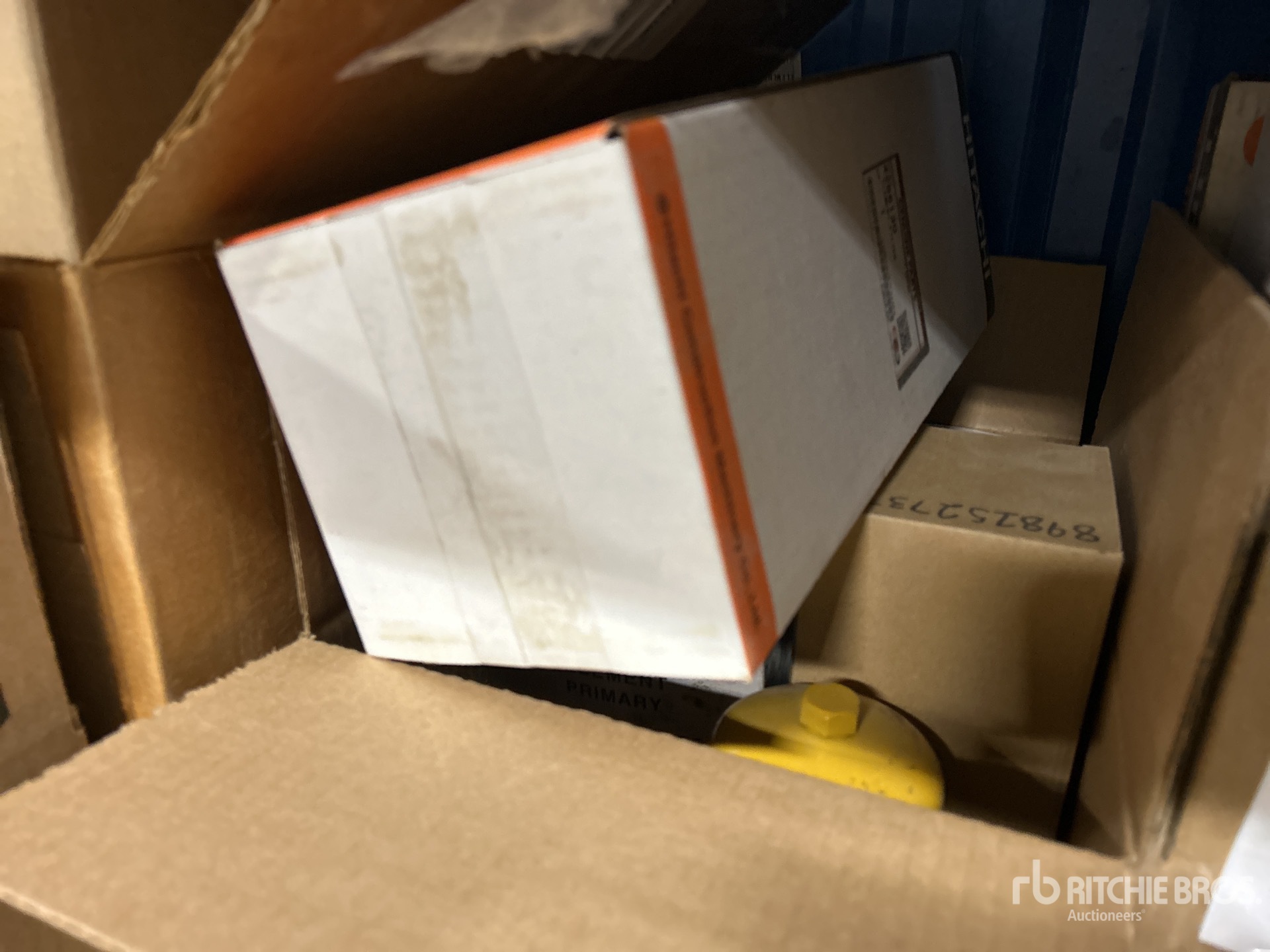 General Appearance with Zdjęcie, lewy dolny róg