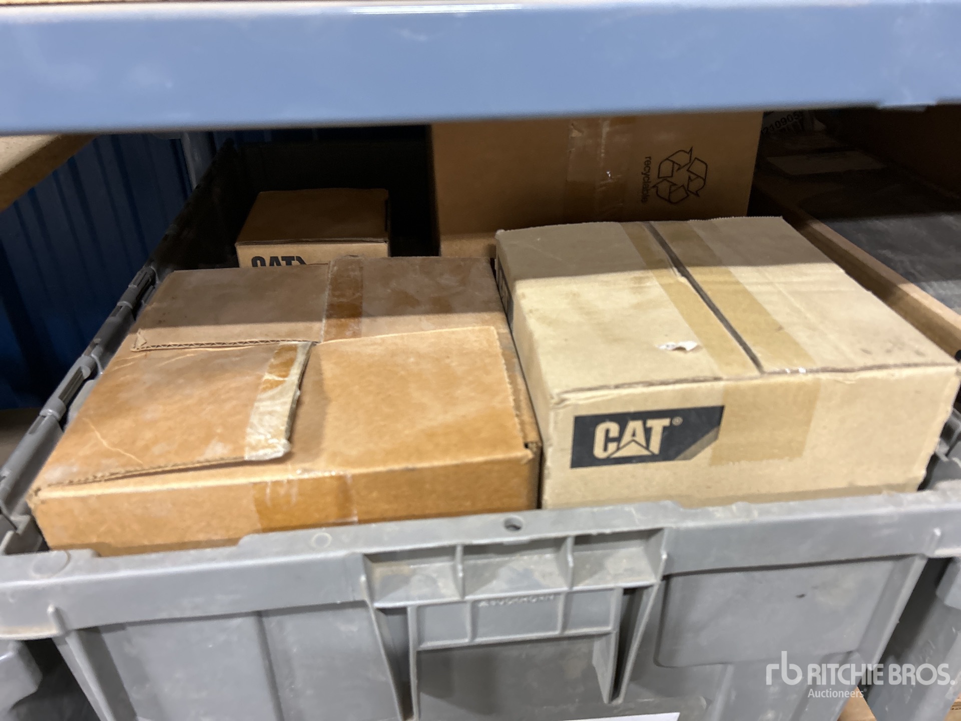 General Appearance with Zdjęcie, prawy dolny róg