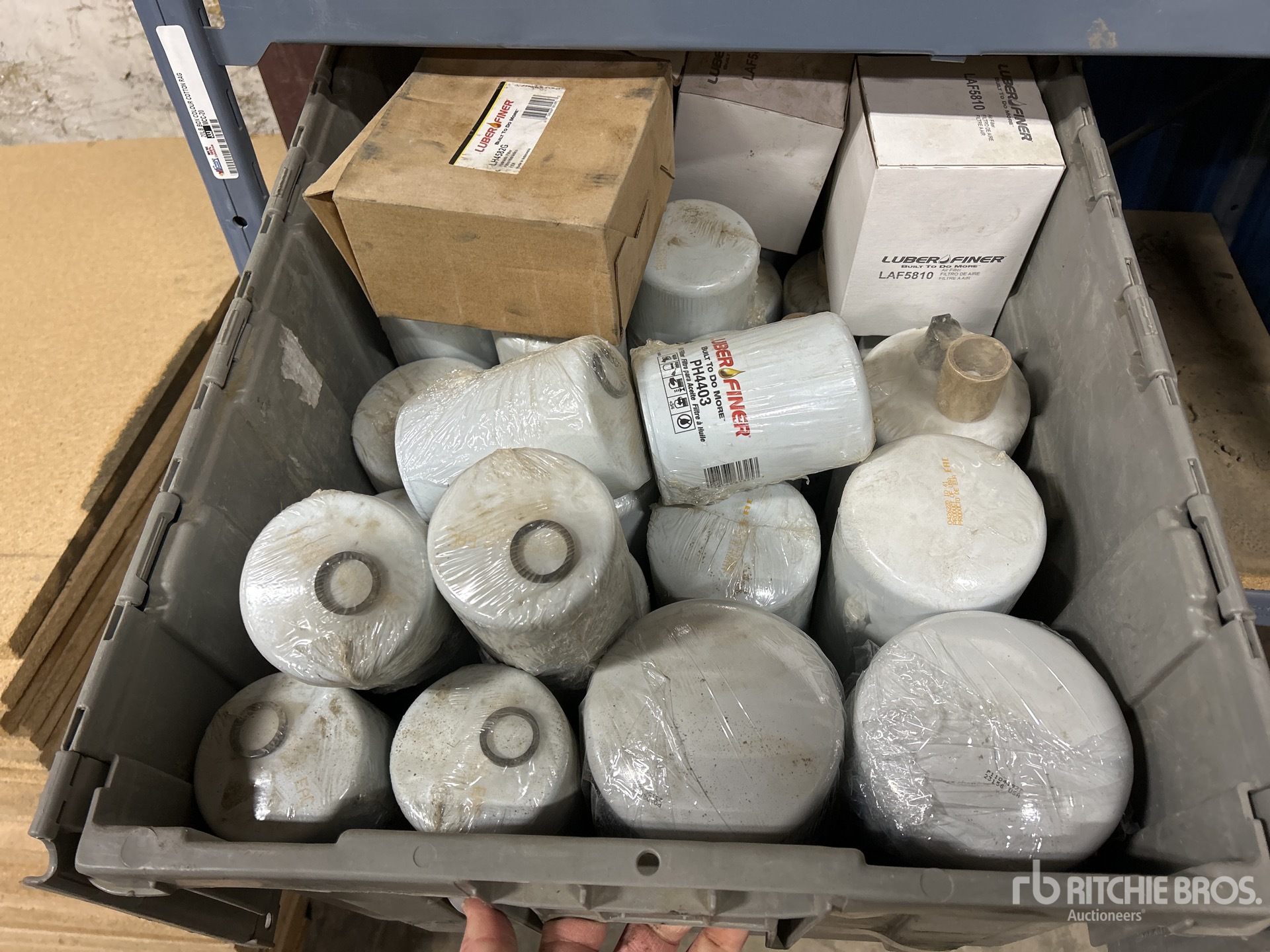 General Appearance with Zdjęcie, lewy dolny róg