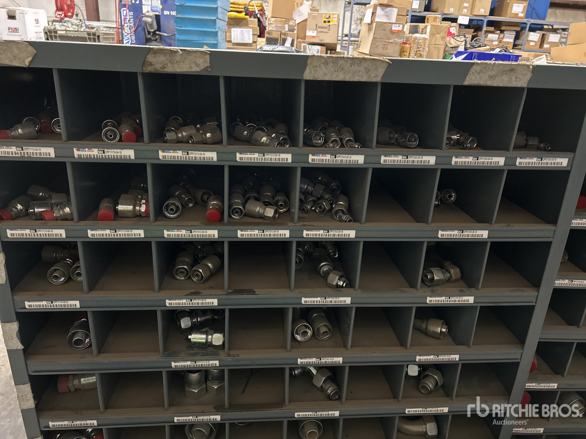 General Appearance with Zdjęcie, prawy dolny róg