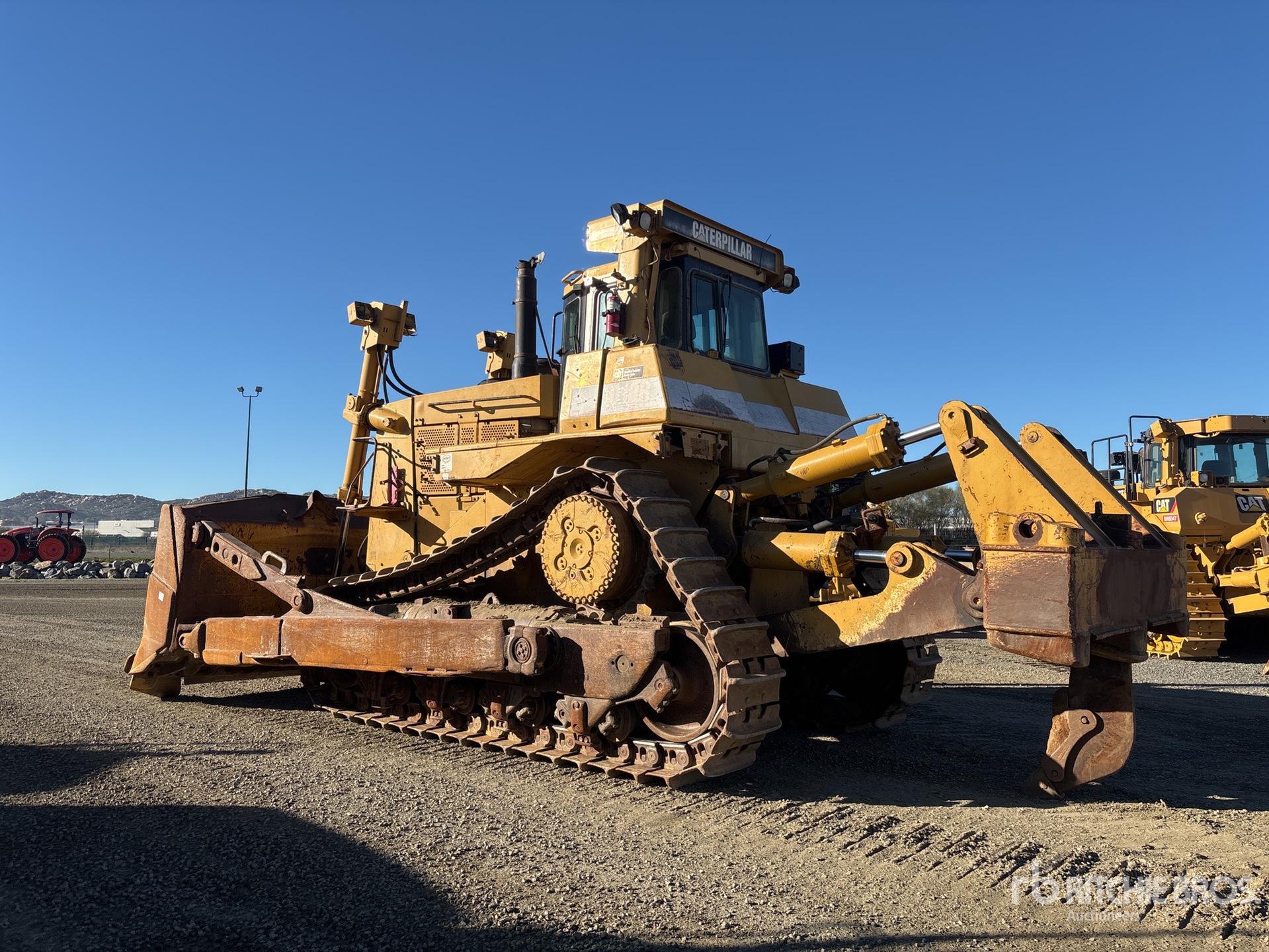 General Appearance with Zdjęcie, lewy dolny róg