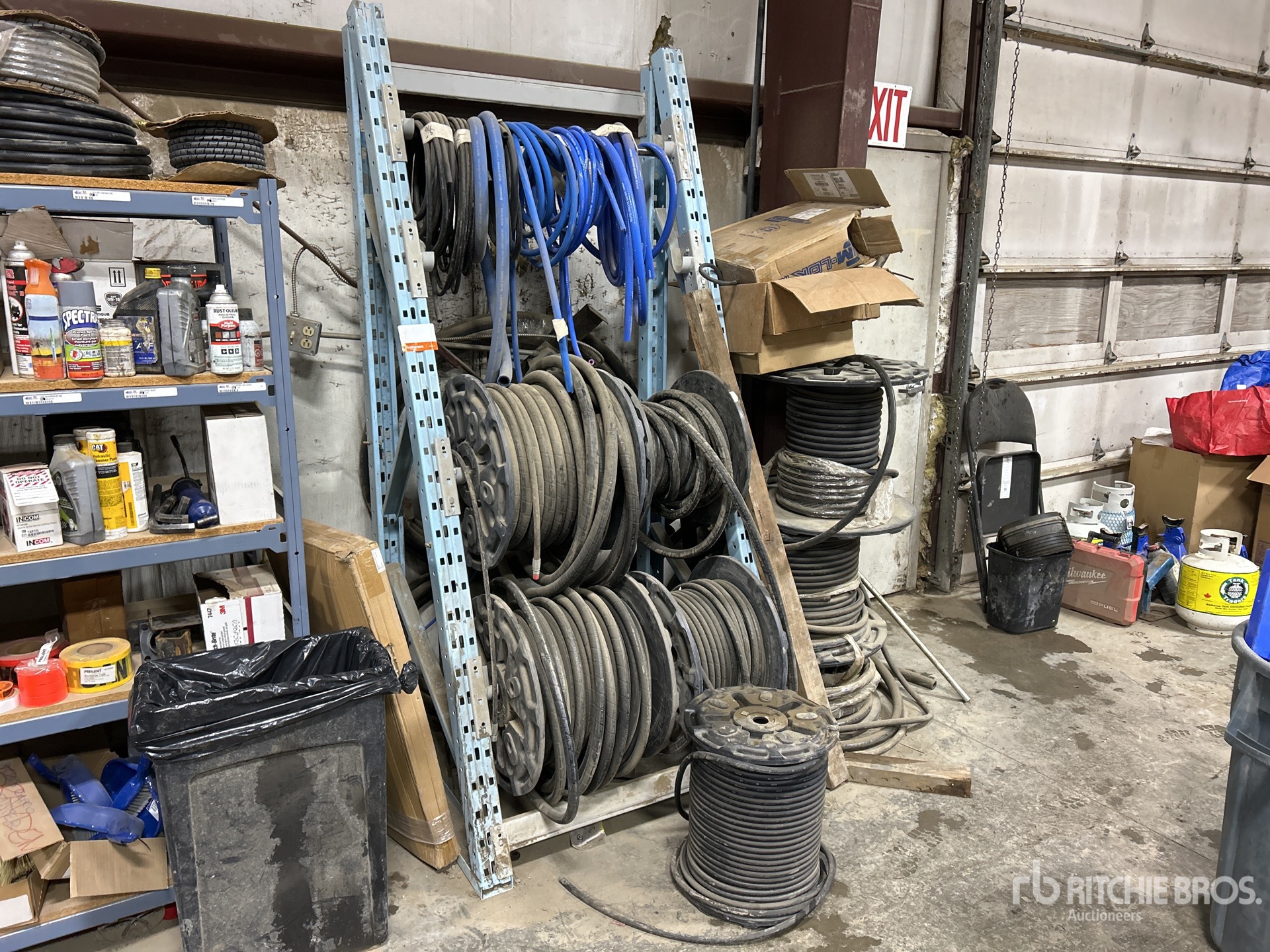 General Appearance with Zdjęcie, lewy dolny róg