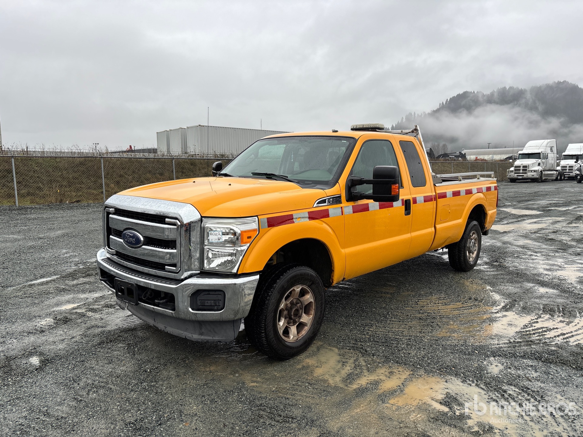 General Appearance with Spin