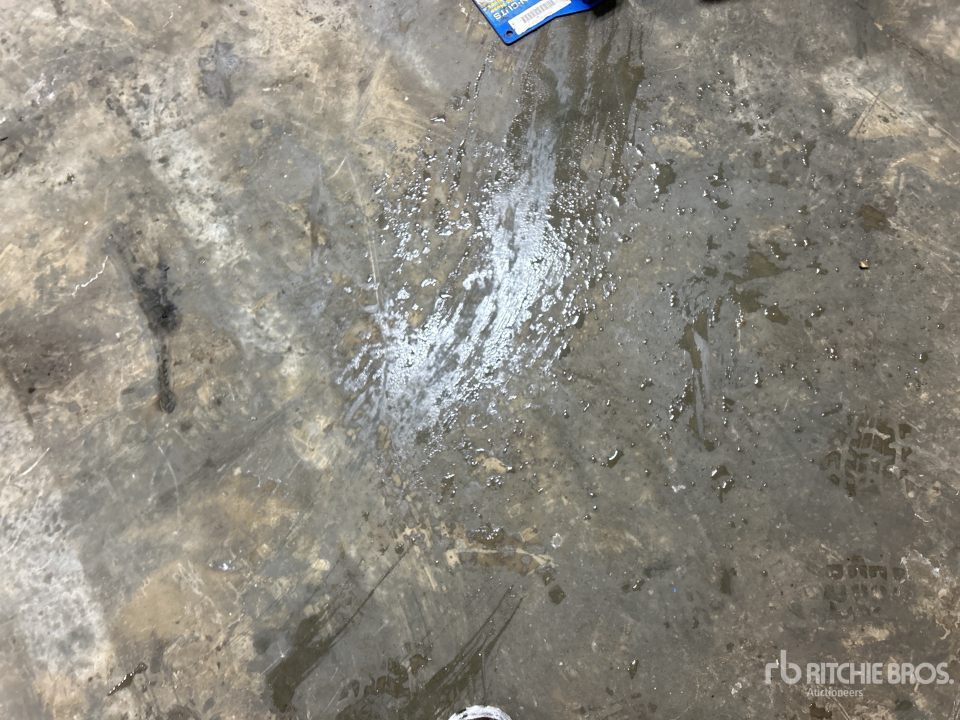 General Appearance with Zdjęcie, lewy dolny róg