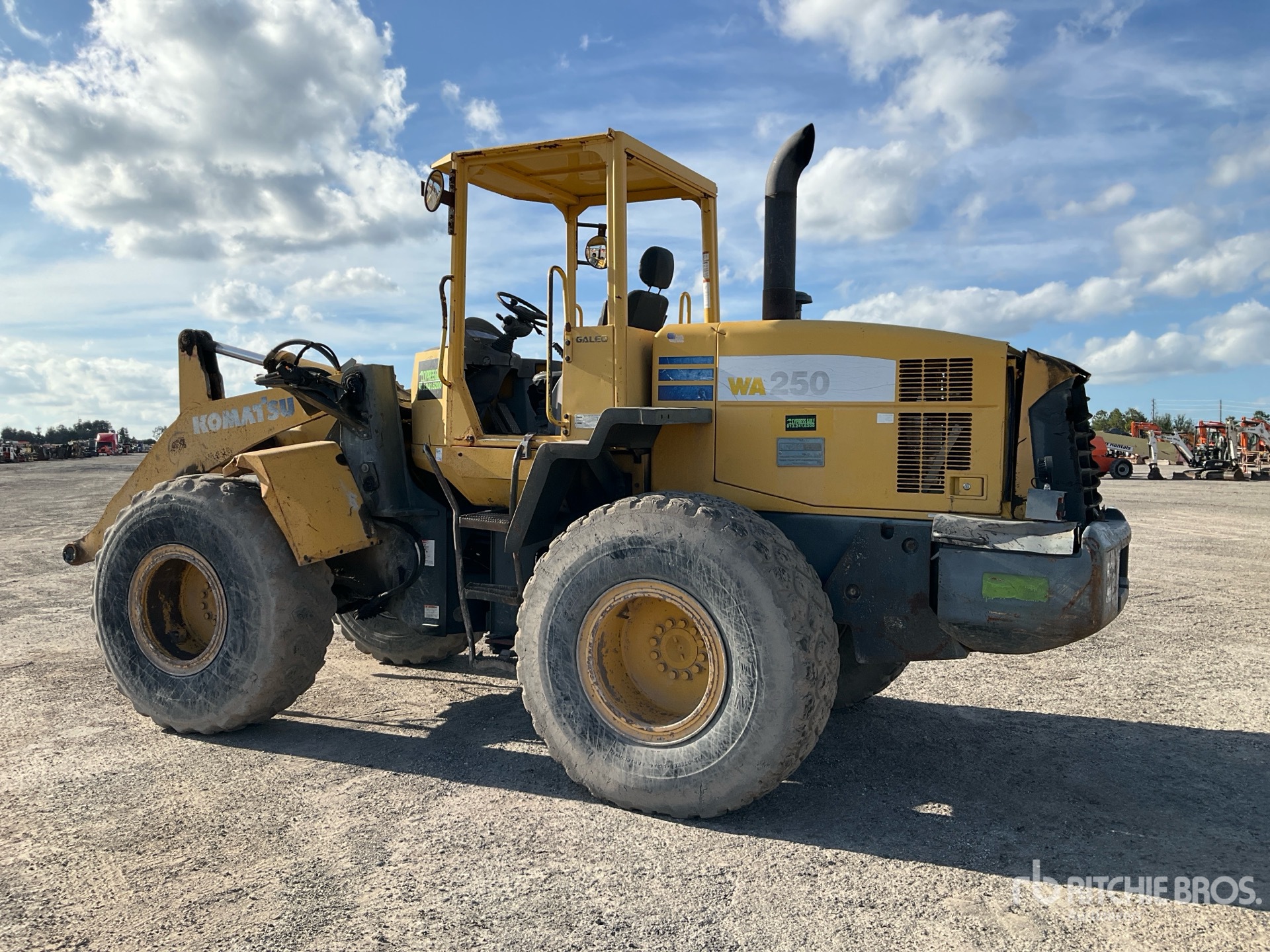 General Appearance with Zdjęcie, lewy dolny róg