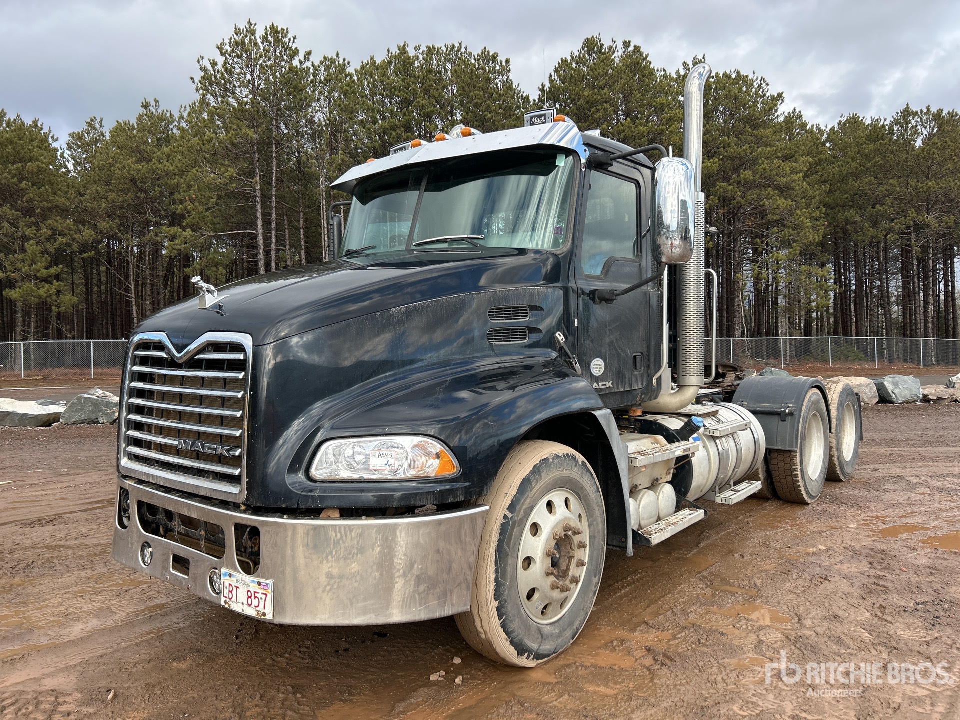 General Appearance with Featured Photo