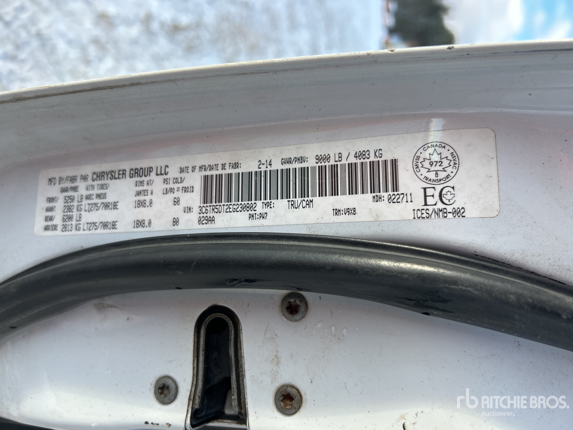 General Appearance with Numero seriale/numero d’identificazione del veicolo (VIN)