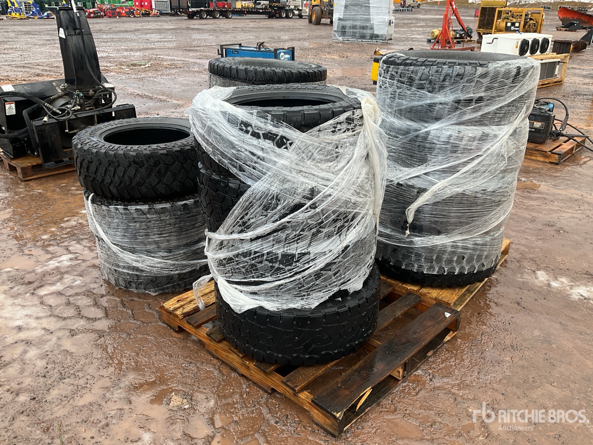 General Appearance with Bild, Ecke hinten links