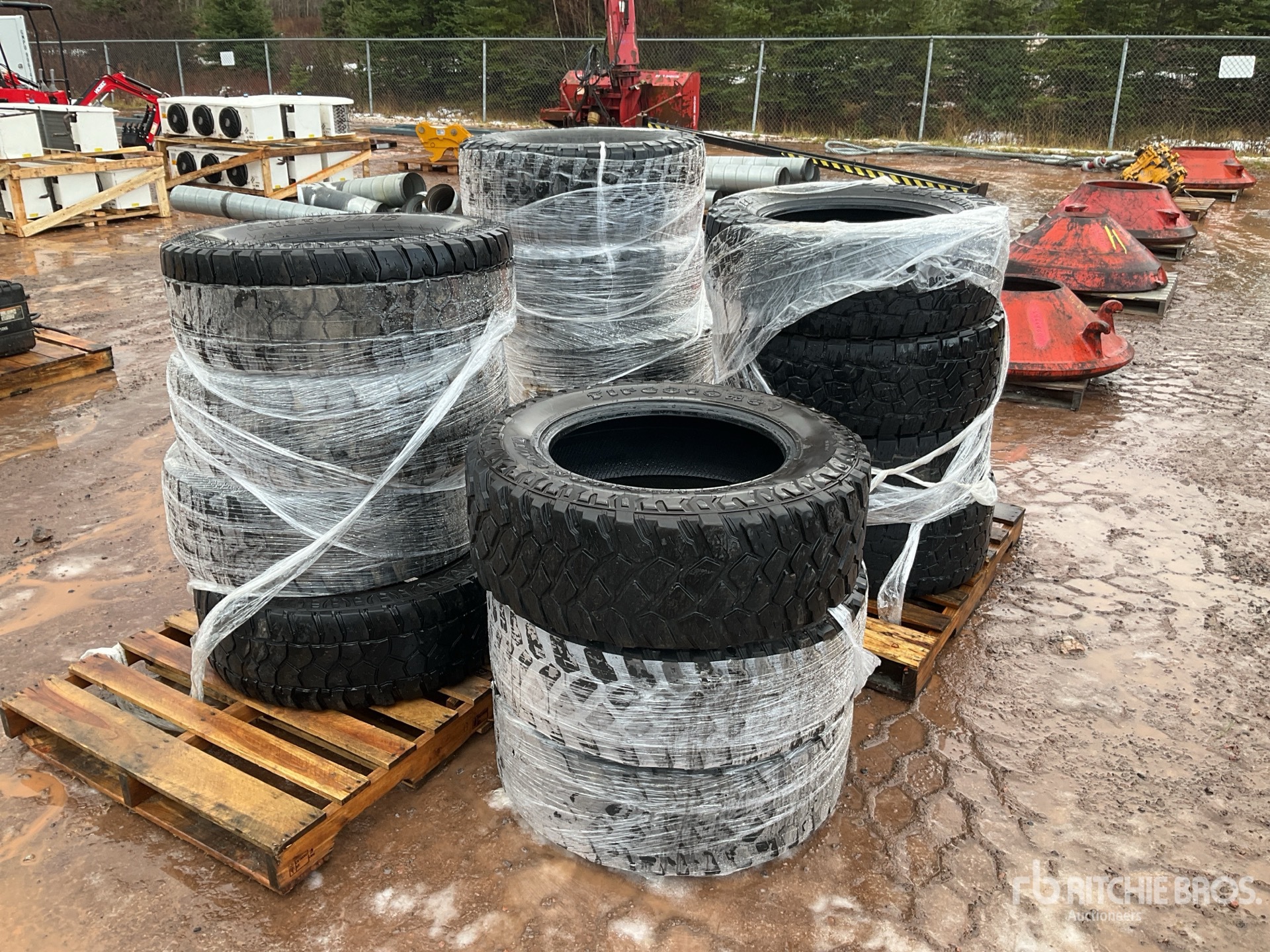 General Appearance with Bild, Ecke vorne links