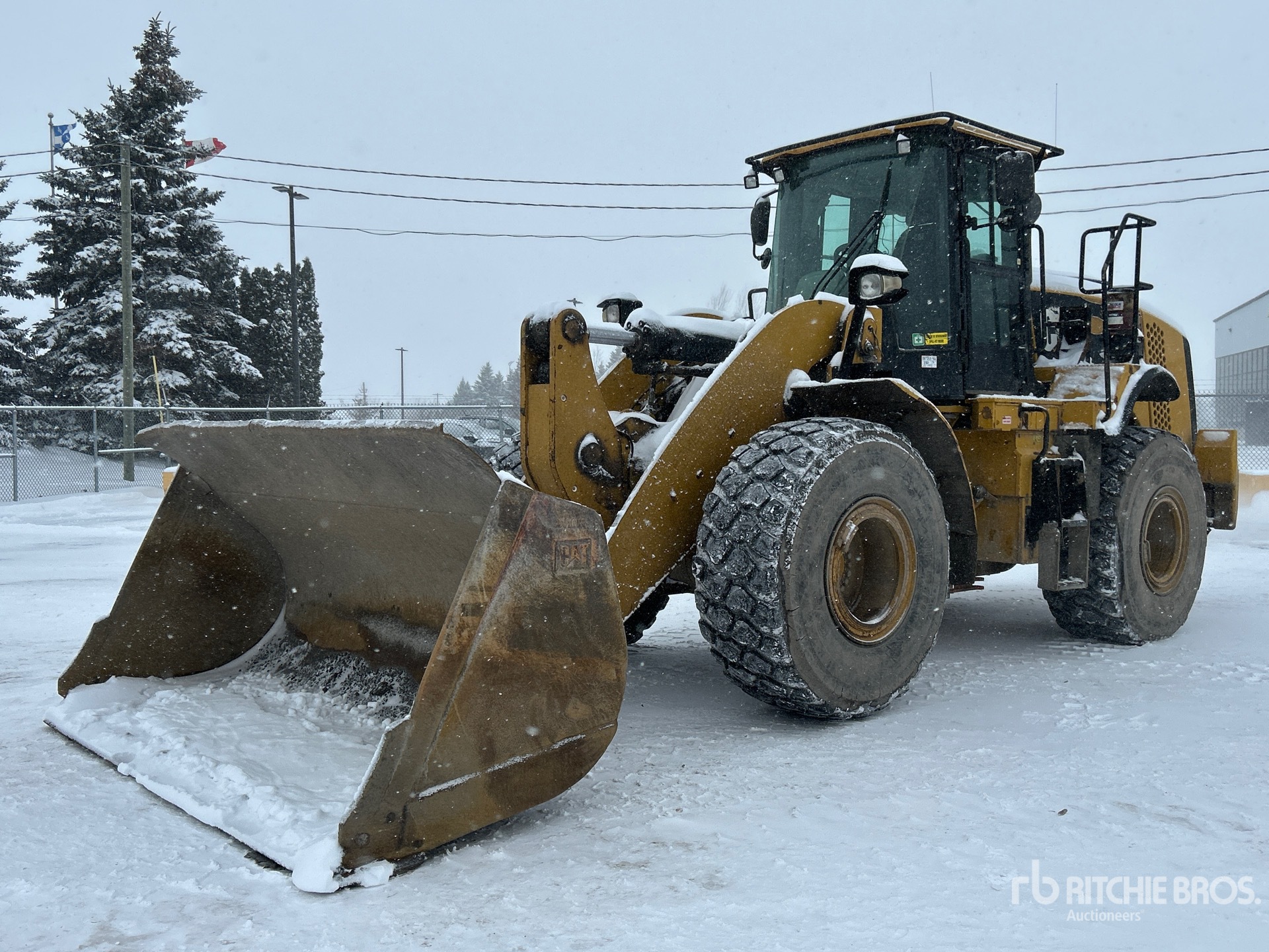 General Appearance with Spin