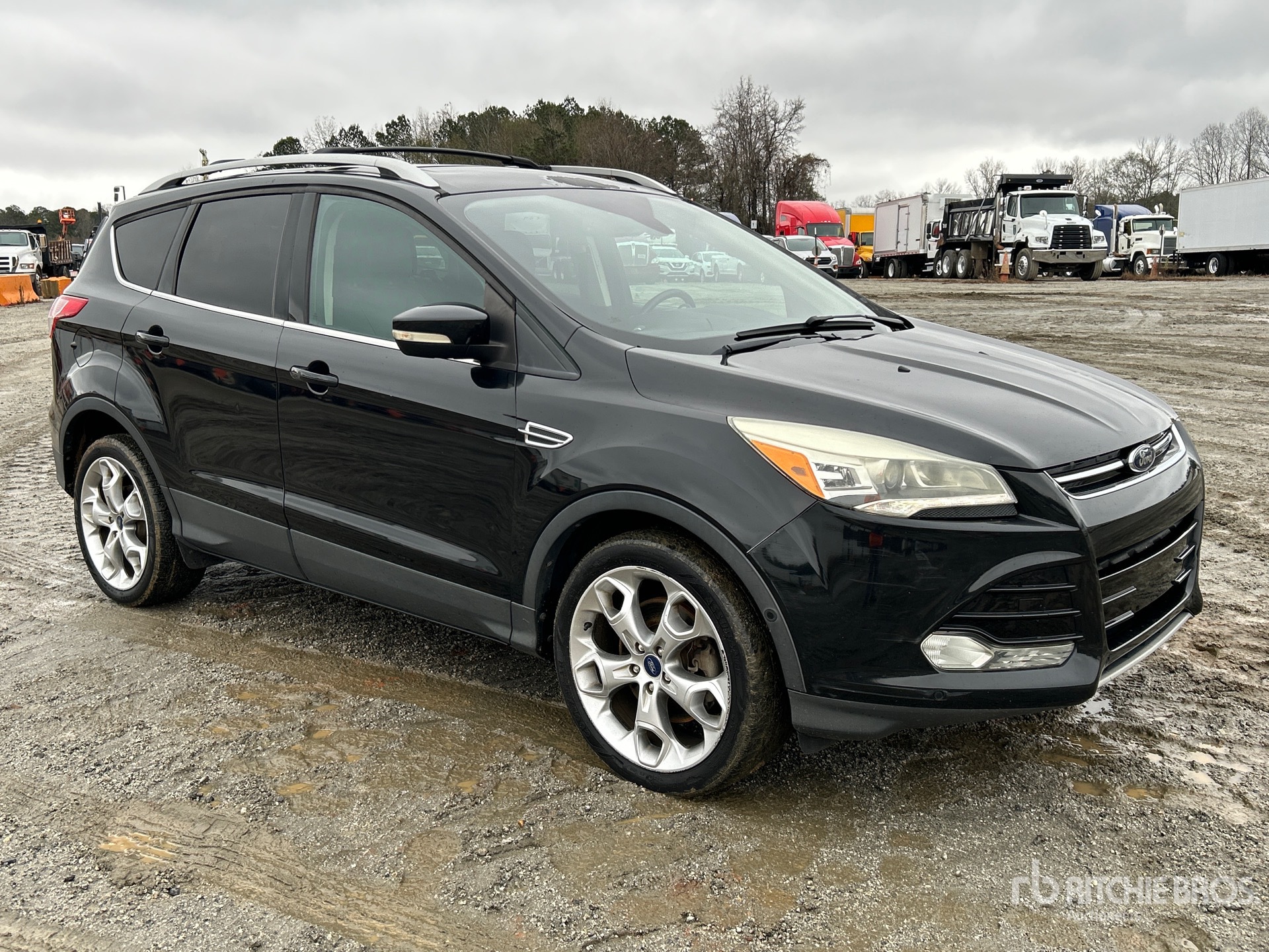 General Appearance with Zdjęcie, prawy górny róg