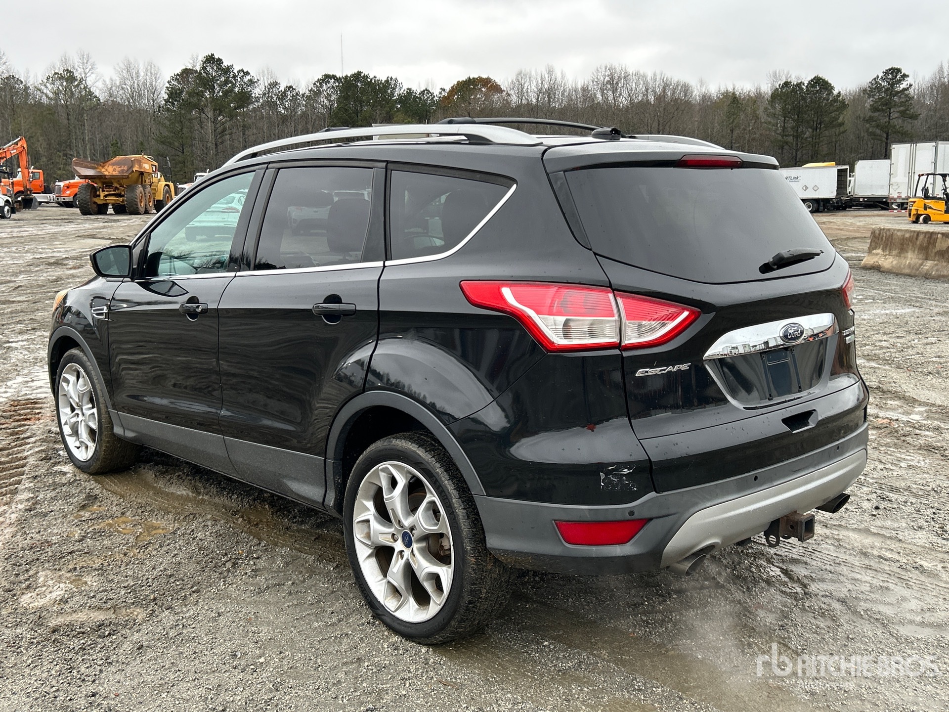 General Appearance with Zdjęcie, lewy dolny róg