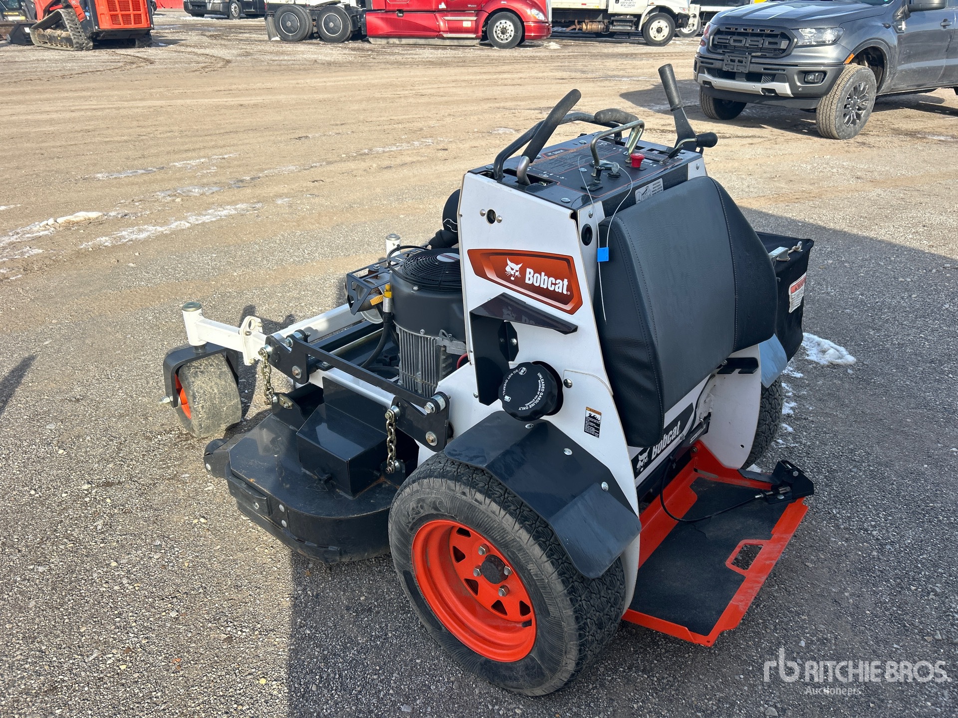 General Appearance with Zdjęcie, lewy dolny róg