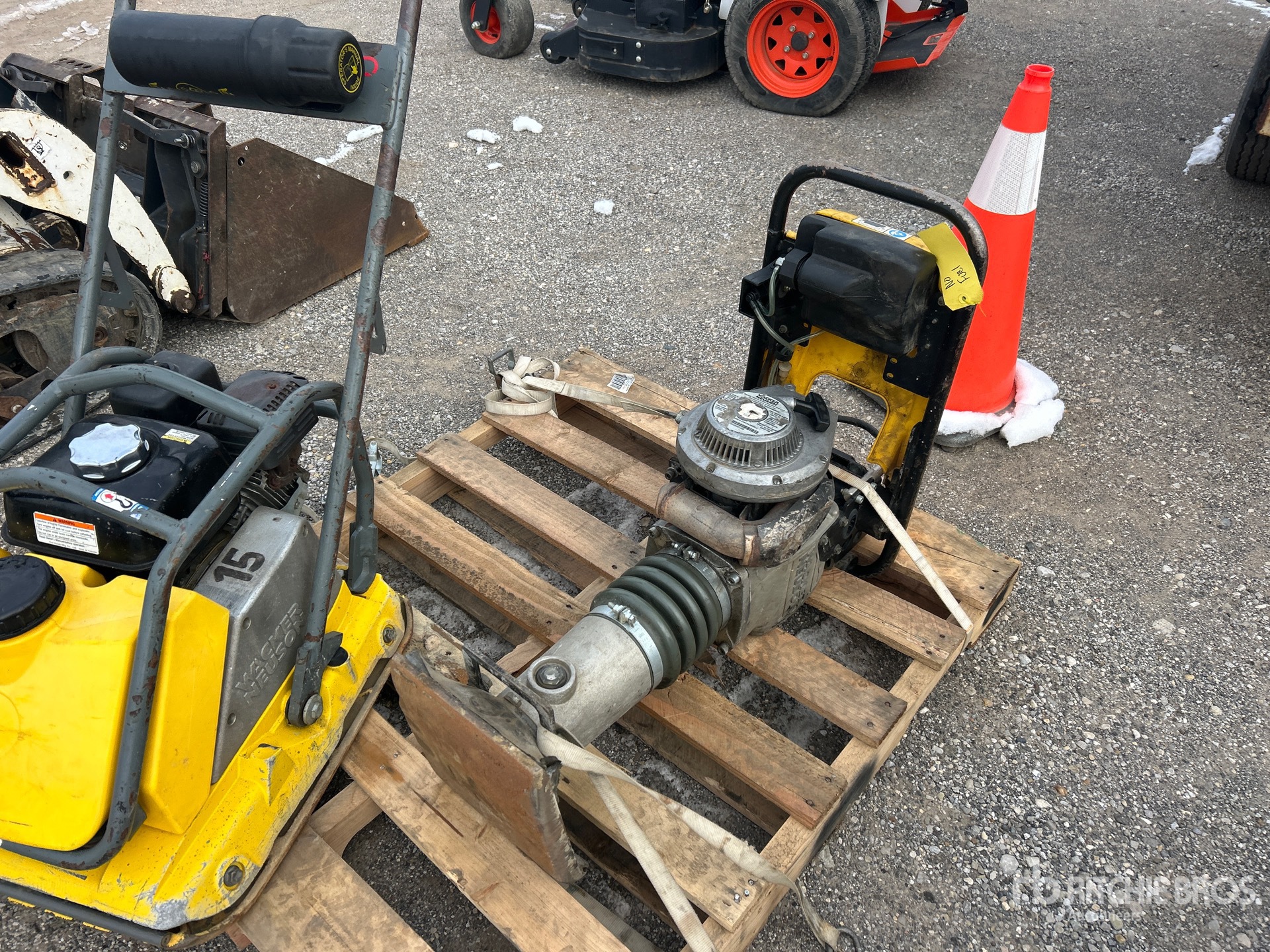 General Appearance with Bild, Ecke vorne links