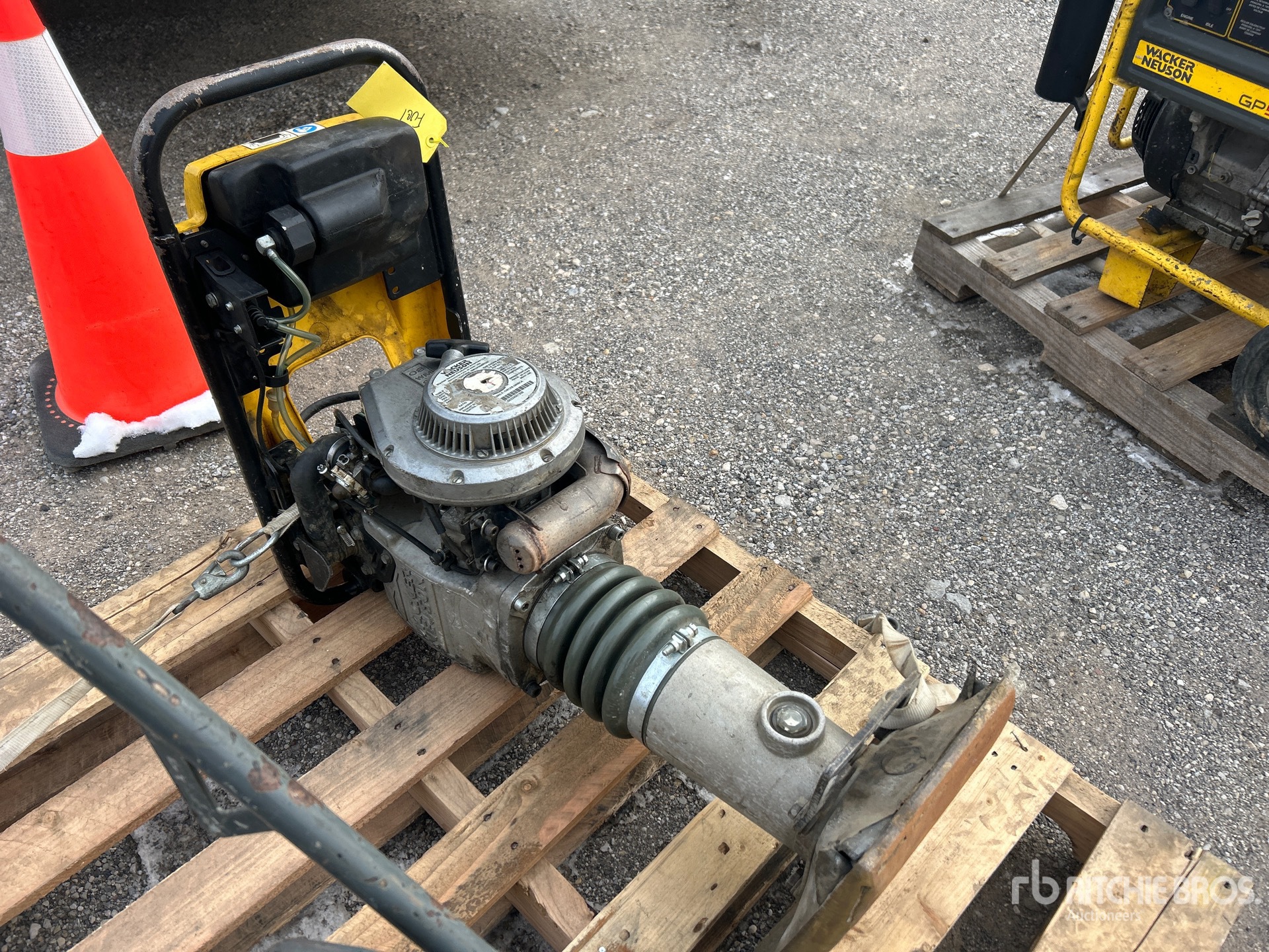 General Appearance with Bild, Ecke vorne rechts