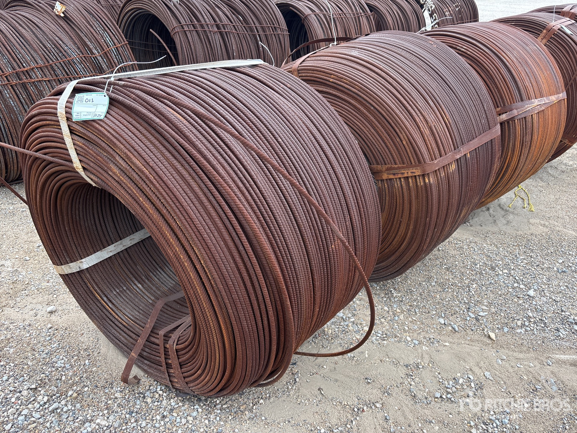 General Appearance with Image, coin arrière droit