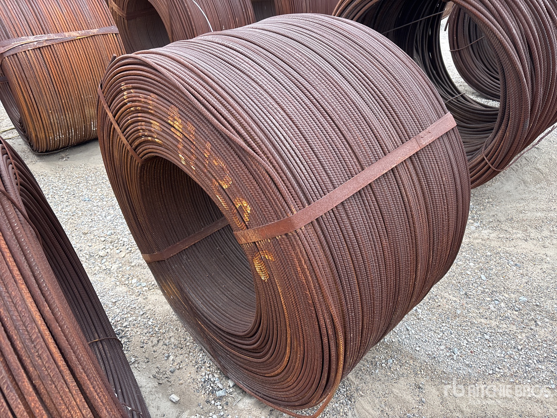 General Appearance with Image, coin arrière droit