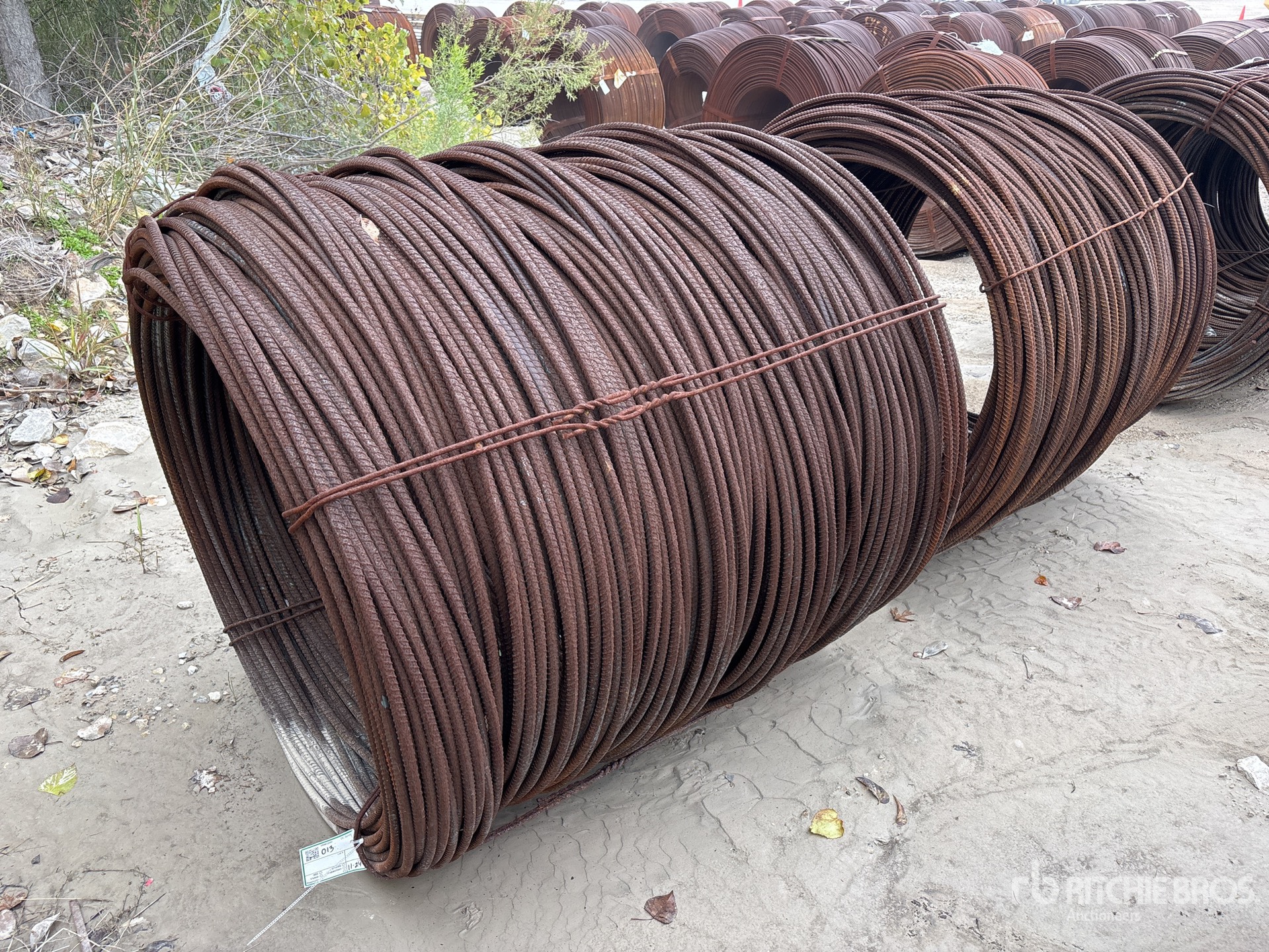 General Appearance with Image, coin arrière droit