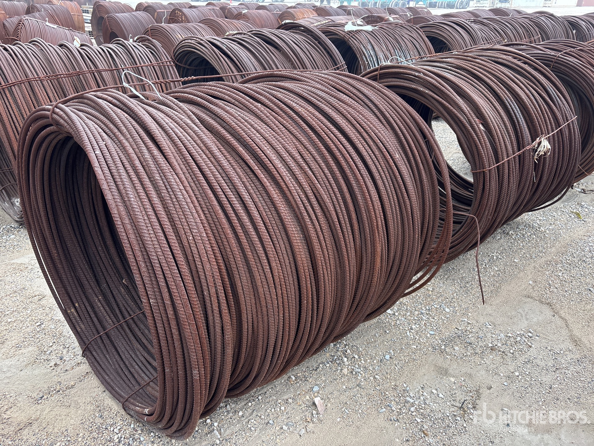 General Appearance with Image, coin arrière droit