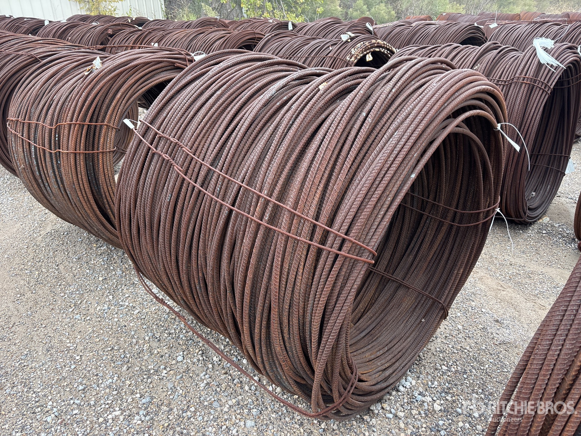 General Appearance with Image, coin avant droit