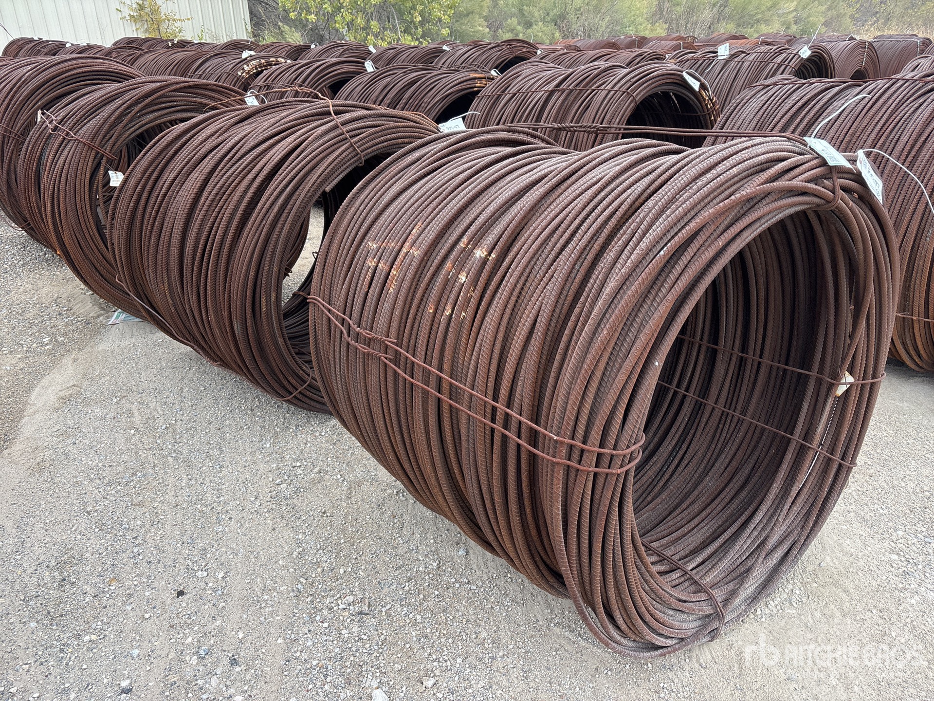 General Appearance with Image, coin avant droit