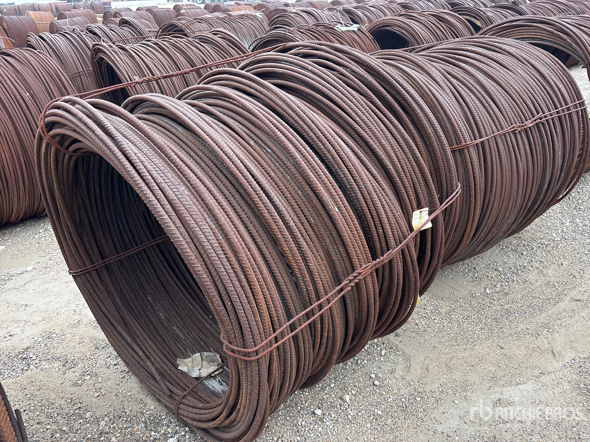 General Appearance with Image, coin arrière droit