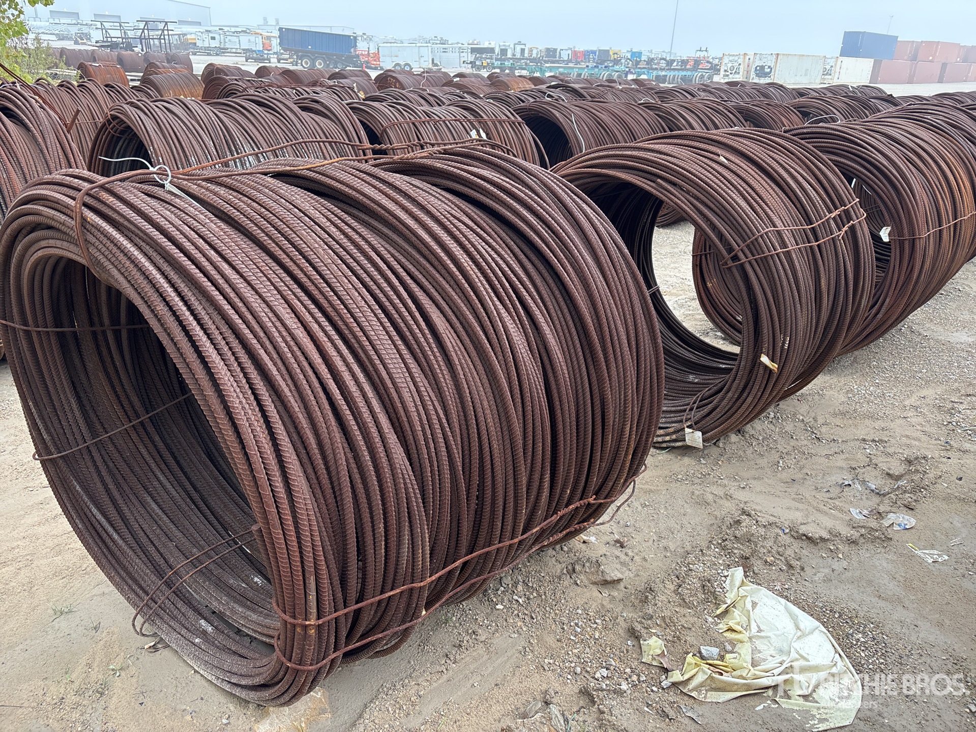 General Appearance with Image, coin arrière droit