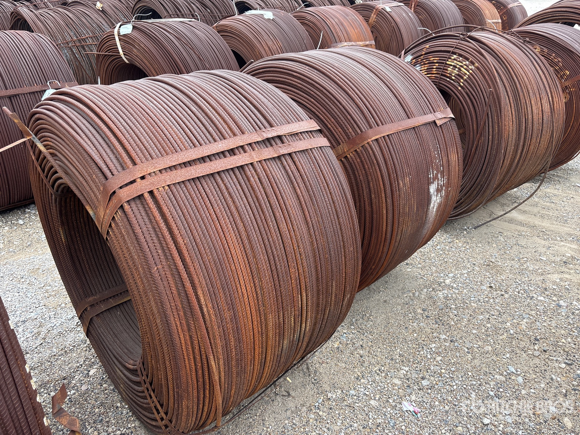 General Appearance with Image, coin arrière droit