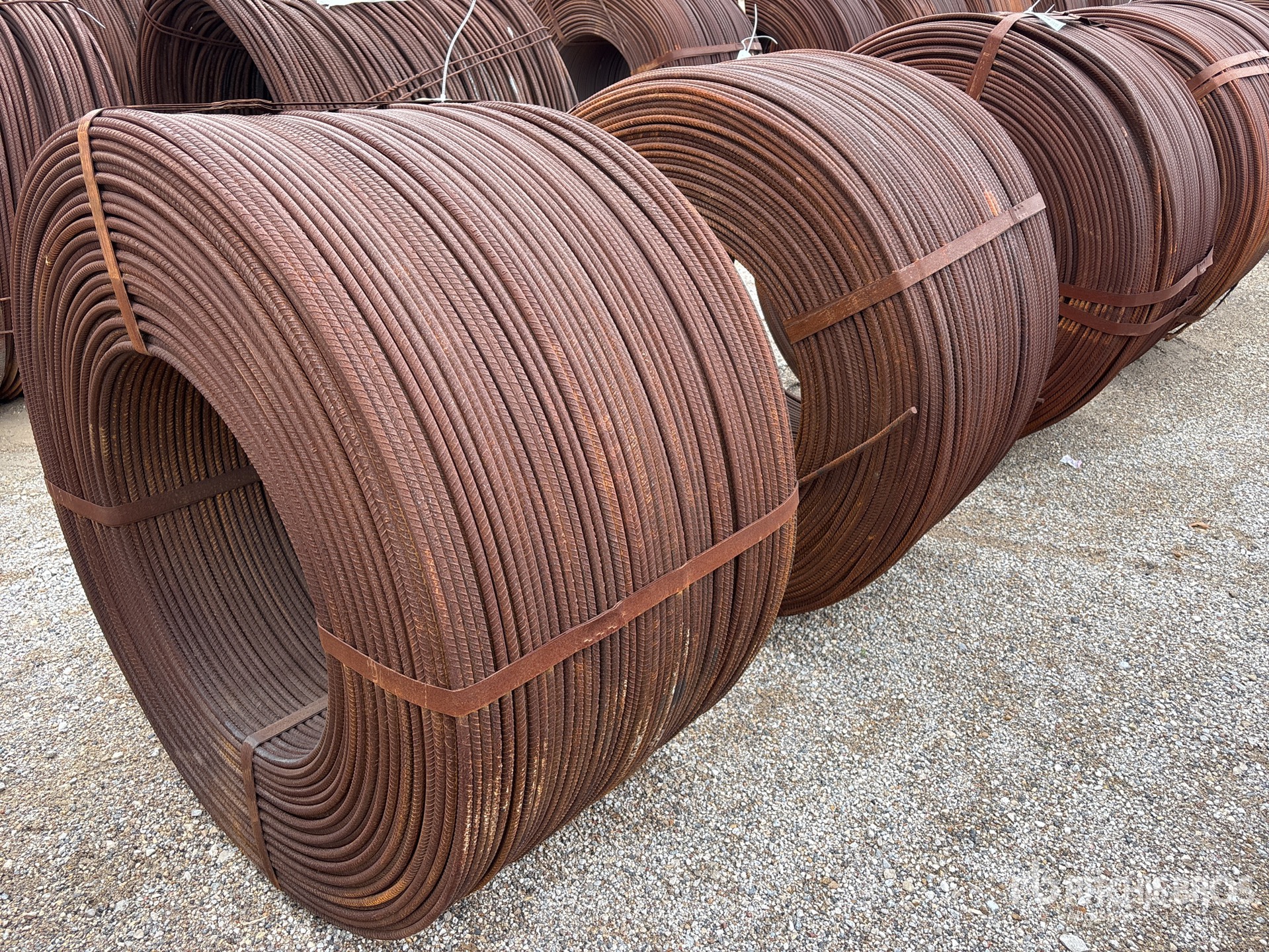 General Appearance with Image, coin arrière droit