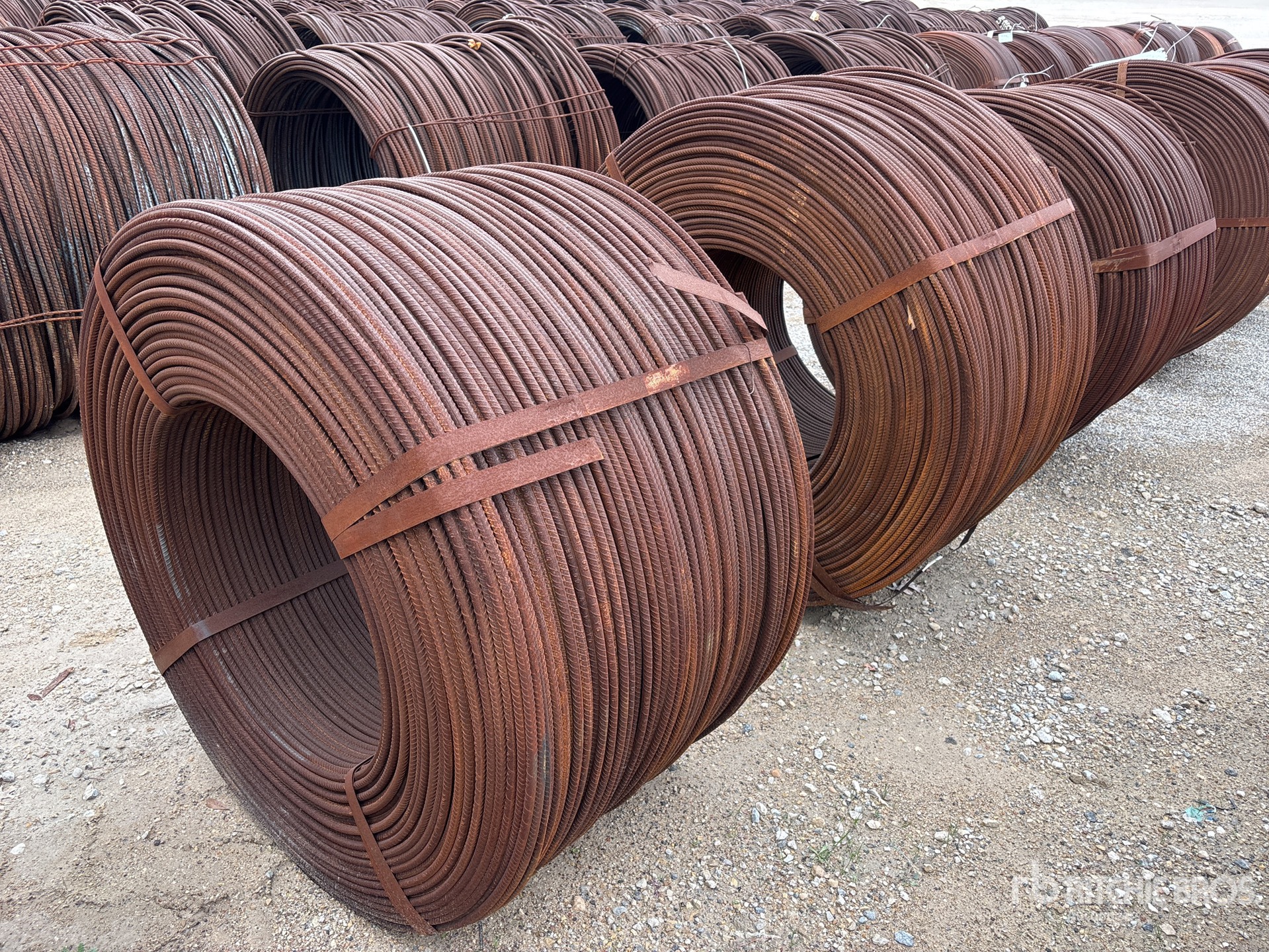 General Appearance with Image, coin arrière droit