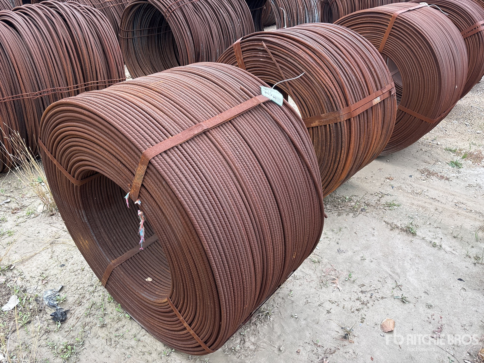 General Appearance with Image, coin arrière droit